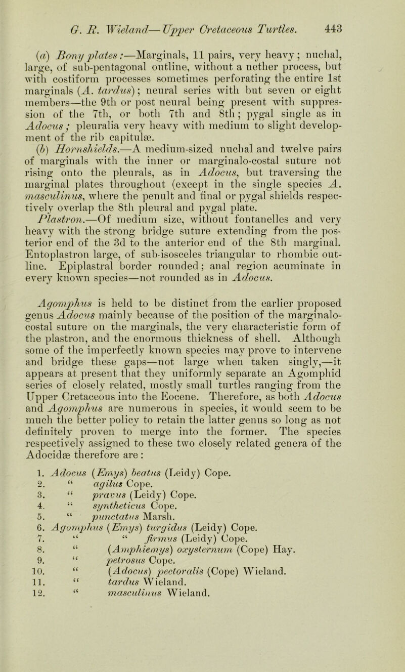 (a) Bony plates:—Marginals, 11 pairs, very heavy; nuchal, large, of sub-pentagonal outline, without a nether process, but with costiform processes sometimes perforating the entire 1st marginals (A. tardus); neural series with but seven or eight members—the 9th or post neural being present with suppres- sion of the 7th, or both 7th and 8th; pygal single as in Adocus; pleuralia very heavy with medium to slight develop- ment of the rib capitulge. (b) Hornshields.—A medium-sized nuchal and twelve pairs of marginals with the inner or marginalo-costal suture not rising onto the pleurals, as in Adocus, but traversing the marginal plates throughout (except in the single species A. masculinus, where the penult and final or pygal shields respec- tively overlap the 8th pleural and pygal plate. Plastron.—Of medium size, without fontanelles and very heavy with the strong bridge suture extending from the pos- terior end of the 3d to the anterior end of the 8th marginal. Entoplastron large, of sub-isosceles triangular to rhombic out- line. Epiplastral border rounded; anal region acuminate in every known species—not rounded as in Adocus. Agomphus is held to be distinct from the earlier proposed genus Adocus mainly because of the position of the marginalo- costal suture on the marginals, the very characteristic form of the plastron, and the enormous thickness of shell. Although some of the imperfectly known species may prove to intervene and bridge these gaps—not large when taken singly,—it appears at present that they uniformly separate an Agomphid series of closely related, mostly small turtles ranging from the Upper Cretaceous into the Eocene. Therefore, as both Adocus and Agomphus are numerous in species, it would seem to be much the better policy to retain the latter genus so long as not definitely proven to merge into the former. The species respectively assigned to these two closely related genera of the Adocidse therefore are: 1. Adocus (Emys) beat us (Leidy) Cope. 2. “ agilus Cope. 3. “ pravus (Leidy) Cope. 4. “ sy?itheticus Cope. 5. “ punctatus Marsh. 6. Agomphus (Emys) turgidus (Leidy) Cope. 7. u “ firmus (Leidy) Cope. 8. “ (Amphiemys) oxyslernum (Cope) Hay. 9. “ petrosus Cope. 10. “ (Adocus) pectoralis (Cope) Wieland. 11. “ tardus Wieland. 12. “ masculinus Wieland.