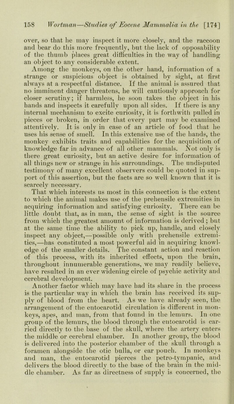 over, so that he may inspect it more closely, and the raccoon and bear do this more frequently, but the lack of opposability of the thumb places great difficulties in the way of handling an object to any considerable extent. Among the monkeys, on the other hand, information of a strange or suspicious object is obtained by sight, at first always at a respectful distance. If the animal is assured that no imminent danger threatens, he will cautiously approach for closer scrutiny; it* harmless, he soon takes the object in his hands and inspects it carefully upon all sides. If there is any internal mechanism to excite curiosity, it is forthwith pulled in pieces or broken, in order that every part may be examined attentively. It is only in case of an article of food that he uses his sense of smell. In this extensive use of the hands, the monkey exhibits traits and capabilities for the acquisition of knowledge far in advance of all other mammals. Not only is there great curiosity, but an active desire for information of all things new or strange in his surroundings. The undisputed testimony of many excellent observers could be quoted in sup- port of this assertion, but the facts are so well known that it is scarcely necessary. That which interests us most in this connection is the extent to which the animal makes use of the prehensile extremities in acquiring information and satisfying curiosity. There can be little doubt that, as in man, the sense of sight is the source from which the greatest amount of information is derived ; but at the same time the ability to pick up, handle, and closely inspect any object,—possible only with prehensile extremi- ties,—has constituted a most powerful aid in acquiring knowl- edge of the smaller details. The constant action and reaction of this process, with its inherited effects, upon the brain, throughout innumerable generations, we may readily believe, have resulted in an ever widening circle of psychic activity and cerebral development. Another factor which may have had its share in the process is the particular way in which the brain has received its sup- ply of blood from the heart. As we have already seen, the arrangement of the entocarotid circulation is different in mon- keys, apes, and man, from that found in the lemurs. In one group of the lemurs, the blood through the entocarotid is car- ried directly to the base of the skull, where the artery enters the middle or cerebral chamber. In another group, the blood is delivered into the posterior chamber of the skull through a foramen alongside the otic bulla, or ear pouch. In monkeys and man, the entocarotid pierces the petro-tympanic, and delivers the blood directly to the base of the brain in the mid- dle chamber. As far as directness of supply is concerned, the