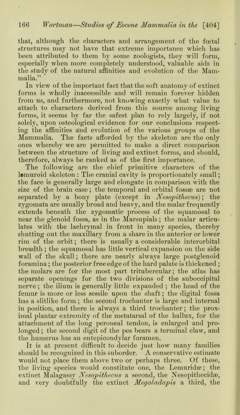 that, although the characters and arrangement of the foetal structures may not have that extreme importance which has been attributed to them by some zoologists, they will form, especially when more completely understood, valuable aids in the studv of the natural affinities and evolution of the Mam- *j malia.” In view of the important fact that the soft anatomy of extinct forms is wholly inaccessible and will remain forever hidden from us, and furthermore, not knowing exactly what value to attach to characters derived from this source among living forms, it seems by far the safest plan to rely largely, if not solely, upon osteological evidence for our conclusions respect- ing the affinities and evolution of the various groups of the Mammalia. The facts afforded by the skeleton are the only ones whereby we are permitted to make a direct comparison between the structure of living and extinct forms, and should, therefore, always be ranked as of the first importance. The following are the chief primitive characters of the lemuroid skeleton : The cranial cavity is proportionately small; the face is generally large and elongate in comparison with the size of the brain case; the temporal and orbital fossae are not separated by a bony plate (except in Nesopithecus); the zygomata are usually broad and heavy, and the malar frequently extends beneath the zygomatic process of the squamosal to near the glenoid fossa, as in the Marsupials; the malar articu- lates with the lachrymal in front in many species, thereby shutting out the maxillary from a share in the anterior or lower rim of the orbit; there is usually a considerable interorbital breadth ; the squamosal has little vertical expansion on the side wall of the skull; there are nearly always large postglenoid foramina; the posterior free edge of the hard palate is thickened ; the molars are for the most part tritubercular; the atlas has separate openings for the two divisions of the suboccipital nerve; the ilium is generally little expanded ; the head of the femur is more or less sessile upon the shaft; the digital fossa has a slitlike form; the second trochanter is large and internal in position, and there is always a third trochanter; the prox- imal plantar extremity of the metatarsal of the hallux, for the attachment of the long peroneal tendon, is enlarged and pro- longed ; the second digit of the pes bears a terminal claw, and the humerus has an entepicondylar foramen. It is at present difficult to decide just how many families should be recognized in this suborder. A conservative estimate would not place them above two or perhaps three. Of these, the living species would constitute one, the Lemuridse; the extinct Malagassy Nesopitliecus a second, the Nesopithecidse, and very doubtfully the extinct Megaladapis a third, the