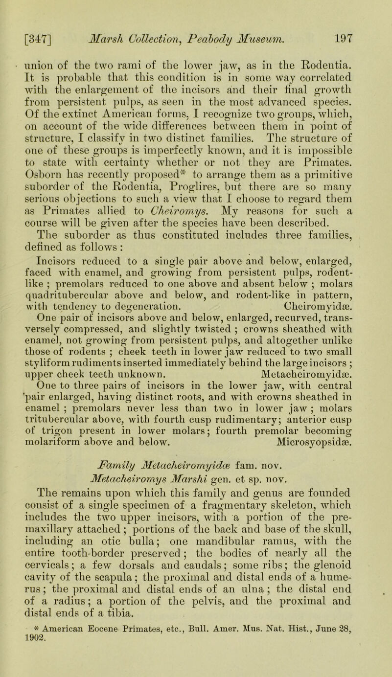 union of the two rami of the lower jaw, as in the Rodentia. It is probable that this condition is in some way correlated with the enlargement of the incisors and their final growth from persistent pulps, as seen in the most advanced species. Of the extinct American forms, I recognize two groups, which, on account of the wide differences between them in point of structure, I classify in two distinct families. The structure of one of these groups is imperfectly known, and it is impossible to state with certainty whether or not they are Primates. Osborn has recently proposed* to arrange them as a primitive suborder of the Rodentia, Proglires, but there are so many serious objections to such a view that I choose to regard them as Primates allied to Cheiromys. My reasons for such a course will be given after the species have been described. The suborder as thus constituted includes three families, defined as follows: Incisors reduced to a single pair above and below, enlarged, faced with enamel, and growing from persistent pulps, rodent- like ; premolars reduced to one above and absent below ; molars quadritubercular above and below, and rodent-like in pattern, with tendency to degeneration. Cheiromyidae. One pair of incisors above and below, enlarged, recurved, trans- versely compressed, and slightly twisted ; crowns sheathed with enamel, not growing from persistent pulps, and altogether unlike those of rodents ; cheek teeth in lower jaw reduced to two small styliform rudiments inserted immediately behind the large incisors ; upper cheek teeth unknown. Metacheiromyidae. One to three pairs of incisors in the lower jaw, with central ’pair enlarged, having distinct roots, and with crowns sheathed in enamel ; premolars never less than two in lower jaw ; molars tritubercular above, with fourth cusp rudimentary; anterior cusp of trigon present in lower molars; fourth premolar becoming molariform above and below. Microsyopsidae. Family Metacheiromyidoe fam. nov. Metacheiromys Marshi gen. et sp. nov. The remains upon which this family and genus are founded consist of a single specimen of a fragmentary skeleton, which includes the two upper incisors, with a portion of the pre- maxillary attached ; portions of the back and base of the skull, including an otic bulla; one mandibular ramus, with the entire tooth-border preserved ; the bodies of nearly all the cervicals; a few dorsals and caudals; some ribs; the glenoid cavity of the scapula; the proximal and distal ends of a hume- rus ; the proximal and distal ends of an ulna; the distal end of a radius; a portion of the pelvis, and the proximal and distal ends of a tibia. * American Eocene Primates, etc., Bull. Amer. Mus. Nat. Hist., June 28, 1902.