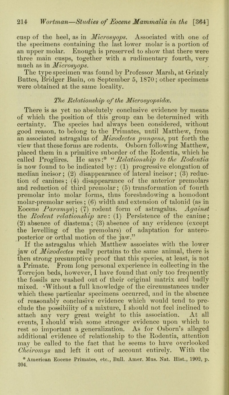 cusp of the heel, as in Microsyops. Associated with one of the specimens containing the last lower molar is a portion of an upper molar. Enough is preserved to show that there were three main cusps, together with a rudimentary fourth, very much as in Microsyops. The type specimen was found by Professor Marsh, at Grizzly Buttes, Bridger Basin, on September 5, 1870; other specimens were obtained at the same locality. The Relationship of the Microsyopsidce. There is as yet no absolutely conclusive evidence by means of which the position of this group can be determined with certainty. The species had always been considered, without good reason, to belong to the Primates, until Matthew, from an associated astragalus of Mixodectes pungens, put forth the view that these forms are rodents. Osborn following Matthew, placed them in a primitive suborder of the Rodentia, which he called Proglires. He says :* “ Relationship to the Rodentia is now found to be indicated by: (1) progressive elongation of median incisor ; (2) disappearance of lateral incisor; (3) reduc- tion of canines; (4) disappearance of the anterior premolars and reduction of third premolar; (5) transformation of fourth premolar into molar forms, thus foreshadowing a homodont molar-premolar series ; (6) width and extension of talonid (as in Eocene Raramys)\ (7) rodent form of astragalus. Against the Rodent relationship are: (1) Persistence of the canine; (2) absence of diastema; (3) absence of any evidence (except the levelling of the premolars) of adaptation for antero- posterior or ortlial motion of the jaw.” If the astragalus which Matthew associates with the lower jaw of Mixodectes really pertains to the same animal, there is then strong presumptive proof that this species, at least, is not a Primate. Erom long personal experience in collecting in the Torrejon beds, however, I have found that only too frequently the fossils are washed out of their original matrix and badlv mixed. ‘Without a full knowledge of the circumstances under which these particular specimens occurred, and in the absence of reasonably conclusive evidence which would tend to pre- clude the possibility of a mixture, I should not feel inclined to attach any very great weight to this association. At all events, I should wish some stronger evidence upon which to rest so important a generalization. As for Osborn’s alleged additional evidence of relationship to the Rodentia, attention may be called to the fact that he seems to have overlooked Cheiromys and left it out of account entirely. With the * American Eocene Primates, etc., Bull. Amer. Mus. Nat. Hist., 1902, p. 204.