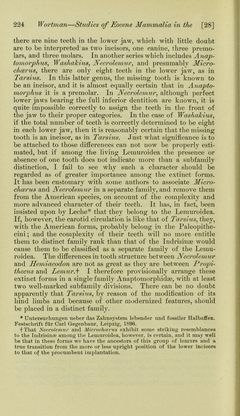 there are nine teeth in the lower jaw, which with little doubt are to be interpreted'as two incisors, one canine, three premo- lars, and three molars. In another series which includes Anap- tomorphus, 1 Vashakius, Necrolemur, and presumably Micro- choerus, there are only eight teeth in the lower jaw, as in Tarsius. In this latter genus, the missing tooth is known to be an incisor, and it is almost equally certain that in Anapto- morphus it is a premolar. In Necrolemur, although perfect lower jaws bearing the full inferior dentition are known, it is quite impossible correctly to assign the teeth in the front of the jaw to their proper categories. In the case of Washakius, if the total number of teeth is correctly determined to be eight in each lower jaw, then it is reasonably certain that the missing tooth is an incisor, as in Tarsius. Just what significance is to be attached to those differences can not now be properly esti- mated, but if among the living Lemuroidea the presence or absence of one tooth does not indicate more than a subfamily distinction, I fail to see why such a character should be regarded as of greater importance among the extinct forms. It has been customary with some authors to associate Micro- choerus and Necrolemur in a separate family, and remove them from the American species, on account of the complexity and more advanced character of their teeth. It has, in fact, been insisted upon by Leche* that they belong to the Lemuroidea. If, however, the carotid circulation is like that of Tarsius, they, with the American forms, probably belong in the Paleopithe- cini; and the complexity of their teeth will no more entitle them to distinct family rank than that of the Indrisinse would cause them to be classified as a separate family of the Lemu- roidea. The differences in tooth structure between Necrolemur and Hemiacodon are not as great as they are between Propi- thecus and Lemur.f I therefore provisionally arrange these extinct forms in a single family Anaptomorphidae, with at least two well-marked subfamily divisions. There can be no doubt apparently that Tarsius, by reason of the modification of its hind limbs and because of other modernized features, should be placed in a distinct family. * Untersuchungen ueber das Zahnsystem lebender und fossiler Halbaffen. Festschrift fiir Carl Gegenbaur, Leipzig, 1896. f That Necrolemur and Microchcerus exhibit some striking resemblances to the Indrisinae among the Lemuroidea, however, is certain, and it may well be that in these forms we have the cincestors of this group of lemurs and a true transition from the more or less upright position of the lower incisors to that of the procumbent implantation.