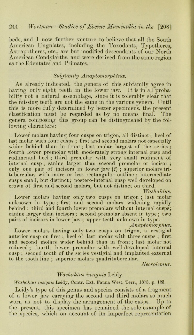 beds, and I now further venture to believe that all the South American Ungulates, including the Toxodonts, Typotheres, Astrapotheres, etc., are but modified descendants of our North American Condylarths, and were derived from the same region as the Edentates and Primates. Subfam ily A naptom orph in ce. As already indicated, the genera of this subfamily agree in having only eight teeth in the lower jaw. It is in all proba- bility not a natural assemblage, since it is tolerably clear that the missing teeth are not the same in the various genera. Until this is more fully determined by better specimens, the present classification must be regarded as by no means final. The genera composing this group can be distinguished by the fol- lowing characters: Lower molars having four cusps on trigon, all distinct; heel of last molar with four cusps ; first and second molars not especially wider behind than in front; last molar largest of the series ; fourth lower premolar with moderately strong internal cusp and rudimental heel ; third premolar with very small rudiment of internal cusp ; canine larger than second premolar or incisor ; only one pair of incisors in lower jaw (?) ; superior molars tri- tubercular, with more or less rectangular outline ; intermediate cusps small, but distinct; postero-internal cusp well developed on crown of first and second molars, but not distinct on third. Washakius. Lower molars having only two cusps on trigon ; last molar unknown in type ; first and second molars widening rapidly behind ; third and fourth lower premolars without internal cusps; canine larger than incisors ; second premolar absent in type ; two pairs of incisors in lower jaw ; upper teeth unknown in type. Anaptom orplius~ Lower molars having only two cusps on trigon, a vestigial anterior cusp on first ; heel of last molar with three cusps ; first and second molars wider behind than in front; last molar not reduced ; fourth lower premolar with well-developed internal cusp ; second tooth of the series vestigial and implanted external to the tooth line ; superior molars quadritubercular. Necroleniur. Washakius insignis Leidy. Washakius insignis Leidy, Contr. Ext. Fauna West. Terr., 1873, p. 123. Leidy’s type of this genus and species consists of a fragment of a lower jaw carrying the second and third molars so much worn as not to display the arrangement of the cusps. Up to the present, this specimen has remained the sole example of the species, which on account of its imperfect representation