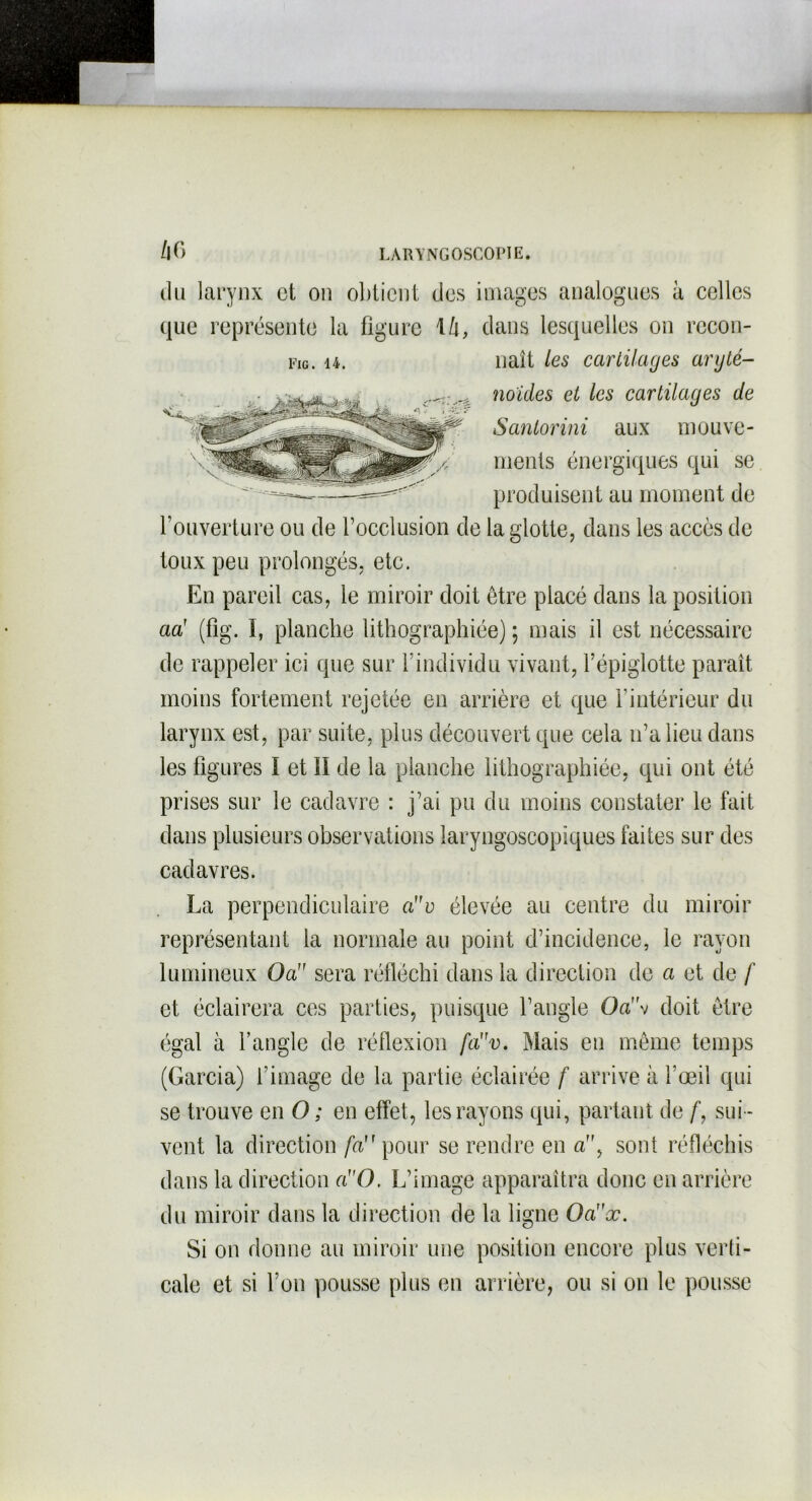 J Fig. 14. Û6 LARYNG0SC0P1E. du larynx et on obtient des images analogues à celles que représente la figure lû, dans lesquelles on recon- naît les cartilages aryté- noïdes et les cartilages de Santorini aux mouve- ments énergiques qui se produisent au moment de l’ouverture ou de l’occlusion de la glotte, dans les accès de toux peu prolongés, etc. En pareil cas, le miroir doit être placé dans la position ad (fig. I, planche lithographiée) ; mais il est nécessaire de rappeler ici que sur l’individu vivant, l’épiglotte paraît moins fortement rejetée en arrière et que l’intérieur du larynx est, par suite, plus découvert que cela n’a lieu dans les figures I et ïl de la planche lithographiée, qui ont été prises sur le cadavre : j’ai pu du moins constater le fait dans plusieurs observations laryngoscopiques faites sur des cadavres. La perpendiculaire d'v élevée au centre du miroir représentant la normale au point d’incidence, le rayon lumineux Oa sera réfléchi dans la direction de a et de f et éclairera ces parties, puisque l’angle Od\ doit être égal à l’angle de réflexion fd'v. Mais en même temps (Garcia) f image de la partie éclairée f arrive à l’œil qui se trouve en O ; en effet, les rayons qui, partant de f, sui - vent la direction /a pour se rendre en a, sont réfléchis dans la direction d'O. L’image apparaîtra donc en arrière du miroir dans la direction de la ligne Od'x. Si on donne au miroir une position encore plus verti- cale et si l’on pousse plus en arrière, ou si on le pousse