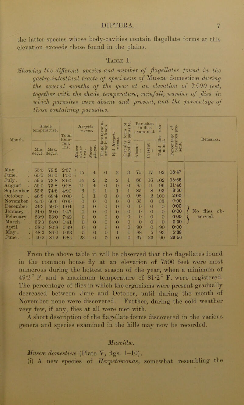 the latter species whose body-cavities contain flagellate forms at this elevation exceeds those found in the plains. Table I. Showing the different species and member of flagellates found in the gastro-intestinal tracts of specimens of Muscse domestic® during the several months of the year at an elevation of 7500 feet, together with the shade temperature, rainfall, number of flies in which parasites were absent and present, and the percentage of those containing parasites. d • CD Parasites bhacle Herpeto- in liies c3 y <b temperature. vionas. fc fS 3 g examined. CD Total 4J r“* **- 3 g cn a) cn CC CD c3 .ti Month. Bain- cd d ?1 <K Remarks. fall, £ ia 5 CD d c! -P Min. deg.F. Max. deg.F. Ins. e i g £ . ; s d C O “ O $ S e £ a, •a> be bCp S 43 fe = § O CD H be r> 03 d CD , co r*> 1 Presen Total min ID ^ g ^ d S P-i May . . 1 June. 555 60'5 79'2 81'0 2-37 1'50 i 15 4 0 2 3 75 17 92 1847 July. 59'5 73'8 8'00 14 2 2 2 1 86 16 102 15'68 August 59'0 73'8 9'28 11 4 0 0 0 85 11 96 11-46 September 55'5 74'6 4'90 6 2 1 1 1 85 8 93 8-60 October . 46'8 68'4 O'OO 1 1 0 0 0 98 2 100 200 November 45'0 66'6 O'OO 0 0 0 0 0 33 0 33 000 December 24'3 59'0 104 0 0 0 0 0 0 0 0 000 5 January . 21'0 590 1-47 0 0 0 0 0 0 0 0 000 ( No flies ob- February . 23'9 530 7'42 0 0 0 0 0 0 0 0 000 ( served. March 35'3 64'0 1-41 0 0 0 0 0 0 0 0 000 April 38'0 80'8 0'49 o 0 0 0 0 90 0 90 000 May . 48'2 84'0 0'63 5 0 0 1 1 88 5 93 5-38 June. 49'2 81'2 ' 6'84 23 l o 1 0 0 0 67 23 90 2956 From the above table it will be observed that the flagellates found in the common house fly at an elevation of 7500 feet were most numerous during the hottest season of the year, when a minimum of 49'2° F. and a maximum temperature of 81 -2° F. were registered. The percentage of flies in which the organisms were present gradually decreased between June and October, until during the month of November none were discovered. Further, during the cold weather very few, if any, flies at all were met with. A short description of the flagellate forms discovered in the various genera and species examined in the hills may now be recorded. Muscidse. Muscse domesticse (Plate V, figs. 1—10). (i) A new species of lierpetomonas, somewhat resembling the