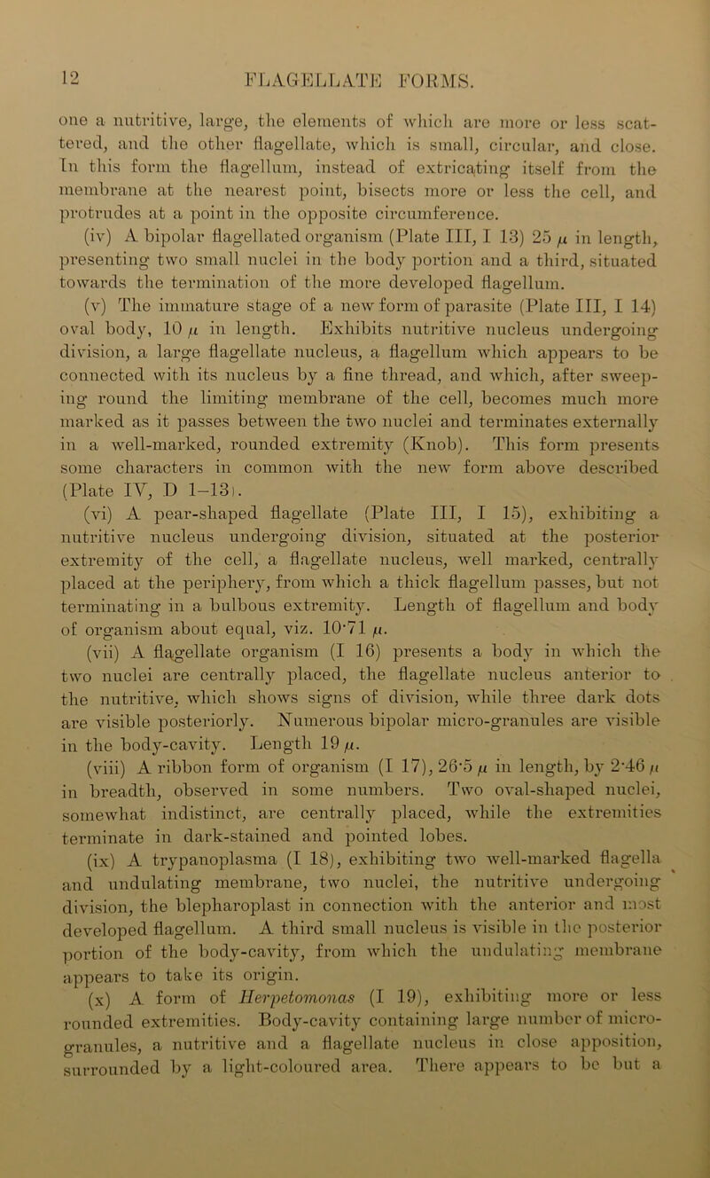 one a nutritive, large, the elements of which are more or less scat- tered, and the other flagellate, which is small, circular, and close. In this form the flagellum, instead of extricating itself from the membrane at the nearest point, bisects more or less the cell, and protrudes at a point in the opposite circumference. (iv) A bipolar flagellated organism (Plate III, I 13) 25 /x in length, presenting two small nuclei in the body portion and a third, situated towards the termination of the more developed flagellum. (v) The immature stage of a new form of parasite (Plate III, I 14) oval body, 10 g in length. Exhibits nutritive nucleus undergoing division, a large flagellate nucleus, a flagellum which appears to be connected with its nucleus by a fine thread, and which, after sweep- ing round the limiting membrane of the cell, becomes much more marked as it passes between the two nuclei and terminates externally in a well-marked, rounded extremity (Knob). This form presents some characters in common with the new form above described (Plate IY, D 1-13). (vi) A pear-shaped flagellate (Plate III, I 15), exhibiting a nutritive nucleus undergoing division, situated at the posterior extremity of the cell, a flagellate nucleus, well marked, centrally placed at the periphery, from which a thick flagellum passes, but not terminating in a bulbous extremity. Length of flagellum and body of organism about equal, viz. 1071 /n. (vii) A flqgellate organism (I 16) presents a body in which the two nuclei are centrally placed, the flagellate nucleus anterior to the nutritive, which shows signs of division, while three dark dots are visible posteriorly. Numerous bipolar micro-granules are visible in the body-cavity. Length 19 /x. (viii) A ribbon form of organism (I 17), 26‘5 fx in length, by 2'46 fi in breadth, observed in some numbers. Two oval-shaped nuclei, somewhat indistinct, are centrally placed, while the extremities terminate in dark-stained and pointed lobes. (ix) A trypanoplasma (I 18), exhibiting two well-marked flagella and undulating membrane, two nuclei, the nutritive undergoing division, the blepharoplast in connection with the anterior and most developed flagellum. A third small nucleus is visible in the posterior portion of the body-cavity, from which the undulating membrane appears to take its origin. (x) A. form of llerpetomonas (I 19), exhibiting more or less rounded extremities. Body-cavity containing large number of micro- granules, a nutritive and a flagellate nucleus in close apposition, surrounded by a light-coloured area. There appears to be but a