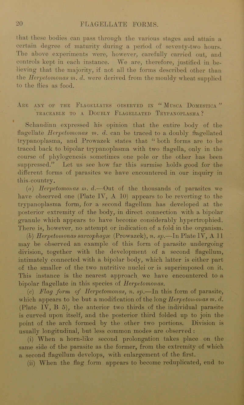 that these bodies can pass through, the various stages and attain a certain degree of maturity during a period of seventy-two hours. The above experiments were, however, carefully carried out, and controls kept in each instance. We are, therefore, justified in be- lieving- that the majority, if not all the forms described other than the Herpetomonas m. cl. were derived from the mouldy wheat supplied to the flies as food. Are any of the Flagellates observed in “Mqsca Domestica ” TRACEABLE TO A DOUBLY FLAGELLATED TrYPANOPLASNA ? Scliaudinn expressed his opinion that the entire body of the flagellate Herpetomonas m. cl. can be traced to a doubly flagellated trypanoplasma, and Prowazek states that “ both forms are to be traced back to bipolar trypanoplasma with two flagella, only in the course of phylogenesis sometimes one pole or the other has been suppressed.” Let us see how far this surmise holds good for the different forms of parasites we have encountered in our inquiry in this country. (a) Herpetomonas m. d.—Out of the thousands of parasites we have observed one (Plate IV, A 10) appears to be reverting to the trypanoplasma form, for a second flagellum has developed at the posterior extremity of the body, in direct connection with a bipolar granule which appears to have become considerably hypertrophied. There is, however, no attempt or indication of a fold in the organism. (b) Herpetomonas sarcophagce (Prowazek), n. sp.—In Plate 1Y, All may be observed an example of this form of parasite undergoing- division, together with the development of a second flagellum, intimately connected with a bipolar body, which latter is either part of the smaller of the two nutritive nuclei or is superimposed on it. This instance is the nearest approach we have encountered to a bipolar flagellate in this species of Herpetomonas. (c) Flag form of Herpetomonas, n. sp.—In this form of parasite, which appears to be but a modification of the long Herpetovionas m. d. (Plate 1Y, B 5), the anterior two thirds of the individual parasite is curved upon itself, and the posterior third folded up to join the point of the arch formed by the other two portions. Division is usually longitudinal, but less common modes are observed : (i) When a horn-like second prolongation takes place on the same side of the parasite as the former, from the extremity of which a second flagellum develops, with enlargement of the first. (ii) When the flag form appears to become reduplicated, end to