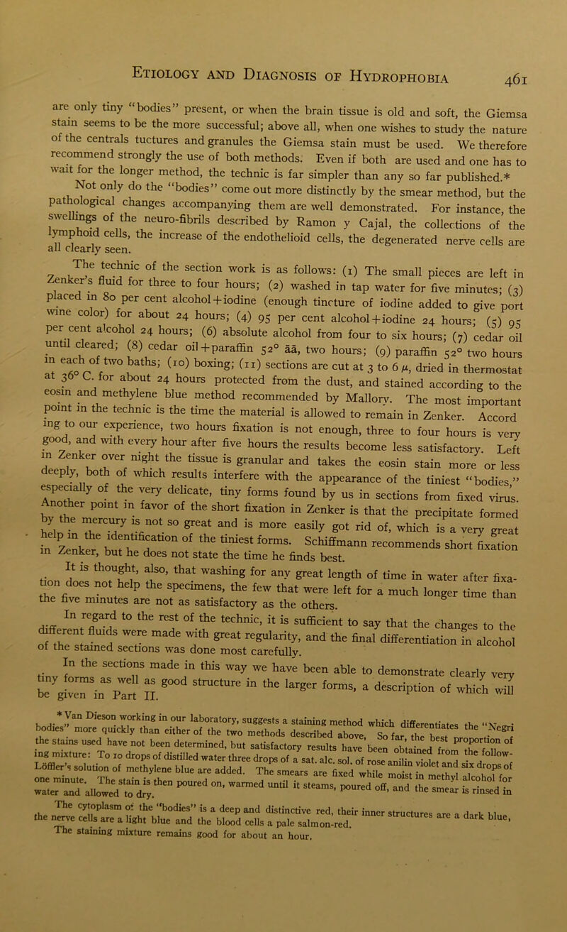 are only tiny “bodies” present, or when the brain tissue is old and soft, the Giemsa stain seems to be the more successful; above all, when one wishes to study the nature of the centrals tuctures and granules the Giemsa stain must be used. We therefore recommend strongly the use of both methods. Even if both are used and one has to wait for the longer method, the technic is far simpler than any so far published.* Not only do the “bodies” come out more distinctly by the smear method, but the pathological changes accompanying them are well demonstrated. For instance, the swellings of the neuro-fibrils described by Ramon y Cajal, the collections of the lyniphoid cells, the increase of the endothelioid cells, the degenerated nerve cells are all clearly seen. 7 Jbe °f the SeCtion WOrk is as follows: 0) The small pieces are left in enker s fluid for three to four hours; (2) washed in tap water for five minutes; (2) p ace m 80 per cent alcohol + iodine (enough tincture of iodine added to give port wine color) for about 24 hours; (4) 95 per cent alcohol + iodine 24 hours; (e) qc per cent a.cohol 24 hours; (6) absolute alcohol from four to six hours; (7) cedar oil until cleared; (8) cedar oil + paraffin 52° aa, two hours; (9) paraffin 52° two hours n each of two baths; (ro) boxing; (n) sections are cut at 3 to 6 /*, dried in thermostat at 36 C for about 24 hours protected from the dust, and stained according to the eosin and methylene blue method recommended by Mallory. The most important point in the technic is the time the material is allowed to remain in Zenker. Accord mg to our experience, two hours fixation is not enough, three to four hours is very good, and with every hour after five hours the results become less satisfactory. Left in Zenker over night the tissue is granular and takes the eosin stain more or less eeply both of which results interfere with the appearance of the tiniest “bodies” especially of the very delicate, tiny forms found by us in sections from fixed virus other point in favor of the short fixation in Zenker is that the precipitate formed y the mercury is not so great and is more easily got rid of, which is a very great in z'Y . n ?ltl0n °f the tiniCSt formS‘ Schiffmann recommends short Nation Zenker, but he does not state the time he finds best. It is thought, also, that washing for any great length of time in water after fixa- t on does not help the specimens, the few that were left for a much longer time than the five minutes are not as satisfactory as the others. diffemnYY t0 the rY °f-\he teChniC’ ^ iS Sufficient to say ^at the changes to the eren fluids were made with great regularity, and the final differentiation fn alcohol of the stained sections was done most carefully. ! the SeCti°“ n,ade m ,his way w<' have been able to demonstrate clearly very be JveTin^pTrt II S,mCtUre ^ ^ a descriP'™ °f wHch wS *Van Dieson working in our laboratory, suggests a staining method which differentiates the “KWr- bodies more qmckly than either of the two methods described above So far , ! , g r the stem, used have not been determined, hu, satisfactory results h,ve'be!n ob'Jtrffcom rtmfT The staining mixture remains good for about an hour.
