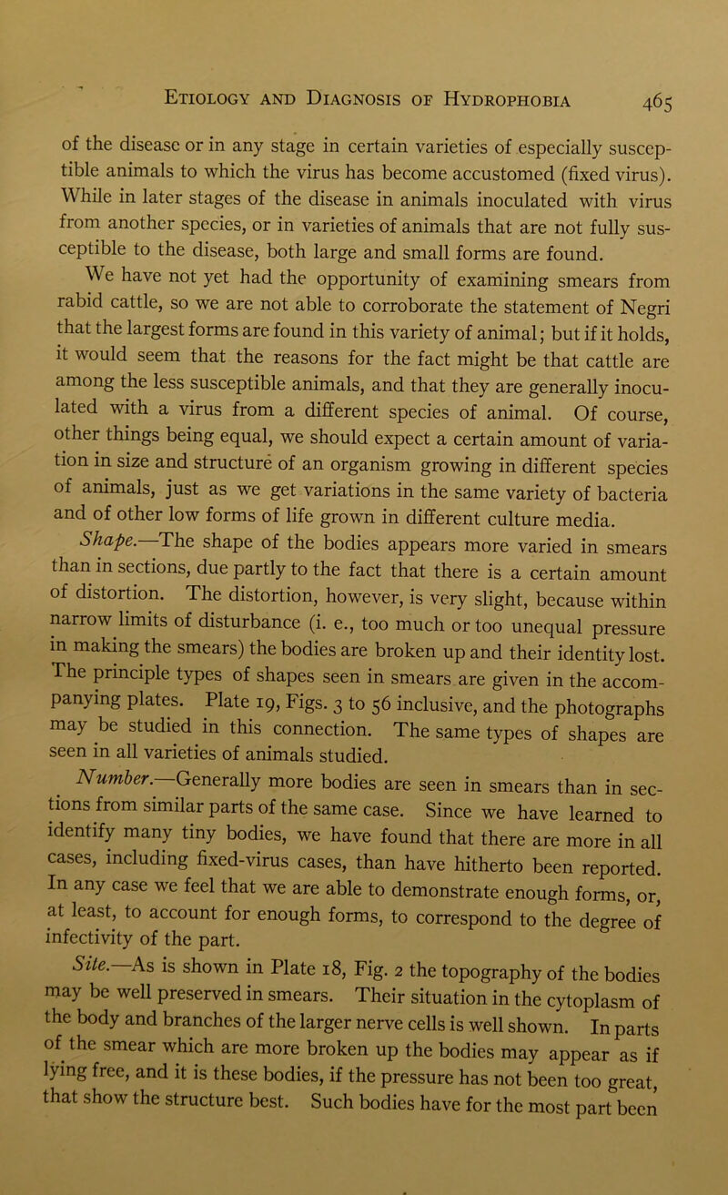 of the disease or in any stage in certain varieties of especially suscep- tible animals to which the virus has become accustomed (fixed virus). While in later stages of the disease in animals inoculated with virus from another species, or in varieties of animals that are not fully sus- ceptible to the disease, both large and small forms are found. We have not yet had the opportunity of examining smears from rabid cattle, so we are not able to corroborate the statement of Negri that the largest forms are found in this variety of animal; but if it holds, it would seem that the reasons for the fact might be that cattle are among the less susceptible animals, and that they are generally inocu- lated with a virus from a different species of animal. Of course, other things being equal, we should expect a certain amount of varia- tion in size and structure of an organism growing in different species of animals, just as we get variations in the same variety of bacteria and of other low forms of life grown in different culture media. Shape. The shape of the bodies appears more varied in smears than in sections, due partly to the fact that there is a certain amount of distortion. The distortion, however, is very slight, because within narrow limits of disturbance (i. e., too much or too unequal pressure in making the smears) the bodies are broken up and their identity lost. The principle types of shapes seen in smears are given in the accom- panying plates. Plate 19, Figs. 3 to 56 inclusive, and the photographs may be studied in this connection. The same types of shapes are seen in all varieties of animals studied. Number. Generally more bodies are seen in smears than in sec- tions from similar parts of the same case. Since we have learned to identify many tiny bodies, we have found that there are more in all cases, including fixed-virus cases, than have hitherto been reported. In any case we feel that we are able to demonstrate enough forms, or, at least, to account for enough forms, to correspond to the degree of infectivity of the part. Site. As is shown in Plate 18, Fig. 2 the topography of the bodies may be well preserved in smears. Their situation in the cytoplasm of the body and branches of the larger nerve cells is well shown. In parts of the smear which are more broken up the bodies may appear as if lying free, and it is these bodies, if the pressure has not been too great, that show the structure best. Such bodies have for the most part been