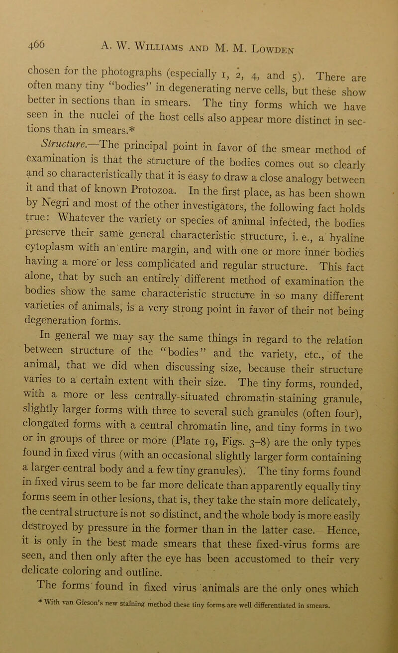 chosen for the photographs (especially i, 2, 4, and 5). There are often many tiny “bodies” in degenerating nerve cells, but these show better in sections than in smears. The tiny forms which we have seen in the nuclei of the host cells also appear more distinct in sec- tions than in smears.* Structure.—The principal point in favor of the smear method of examination is that the structure of the bodies comes out so clearly and so characteristically that it is easy to draw a close analogy between it and that of known Protozoa. In the first place, as has been shown by Negri and most of the other investigators, the following fact holds true: Whatever the variety or species of animal infected, the bodies preserve their same general characteristic structure, i. e., a hyaline cytoplasm with an entire margin, and with one or more inner bodies having a more' or less complicated and regular structure. This fact alone, that by such an entirely different method of examination the bodies show the same characteristic structure in so many different varieties of animals, is a very strong point in favor of their not being degeneration forms. In general we may say the same things in regard to the relation between structure of the “bodies” and the variety, etc., of the animal, that we did when discussing size, because their structure varies to a certain extent with their size. The tiny forms, rounded, with a more or less centrally-situated chromatin-staining granule, slightly larger forms with three to several such granules (often four), elongated forms with a central chromatin line, and tiny forms in two or in groups of three or more (Plate 19, Figs. 3-8) are the only types found in fixed virus (with an occasional slightly larger form containing a larger central body and a few tiny granules). The tiny forms found in fixed virus seem to be far more delicate than apparently equally tiny forms seem in other lesions, that is, they take the stain more delicately, the central structure is not so distinct, and the whole body is more easily destroyed by pressure in the former than in the latter case. Hence, it is only m the best made smears that these fixed-virus forms are seen, and then only after the eye has been accustomed to their very delicate coloring and outline. The forms found in fixed virus animals are the only ones which * With van Gieson’s new staining method these tiny forms, are well differentiated in smears.