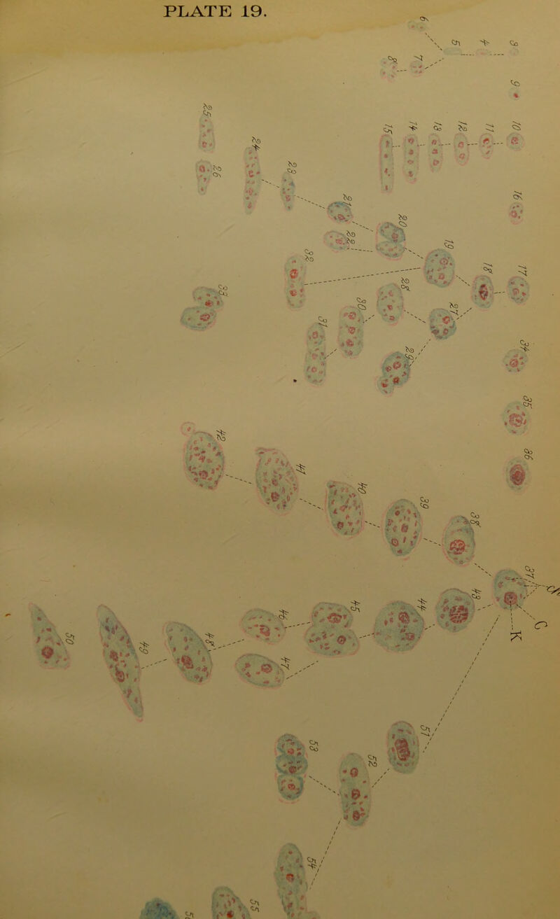 f V \ as- . 1--' As * <? • As t- rt. as .. * *. «•' e- As N CJl Co 'A — • «* 4 •' * Co « Co AS ** ... 3 *> A o - a — r ... s « » '... As - ■:. As ;3S5> Os *• '* • •- aS cS ’o’. $ ■ - s° ■ '£o *? * * *&y So « ■ ■«■ •• Co CO As o. *' - a U 'N (C3>l $ ,« ■ 'a As S'* ft* - ^9 - *&/ Co ts .«• Co ' ■ » Ns 7>».* *rJ is Co O', ’ «' .. I »S ;r . *> A 9 » ■»! i* f V Co CO ‘ f H A -, Co 0 r * J3 i f 4« • i H -‘fcf ;q v • CA U&J? s> Co So , , V *•: <T> ^v© . »*> -S/ O* © -N .--' .. * * “ .' .-' C Sa r c a; ^ 1 raj' •O AO S' iv ■•■ si . -fr- :i 4>\ S' *9