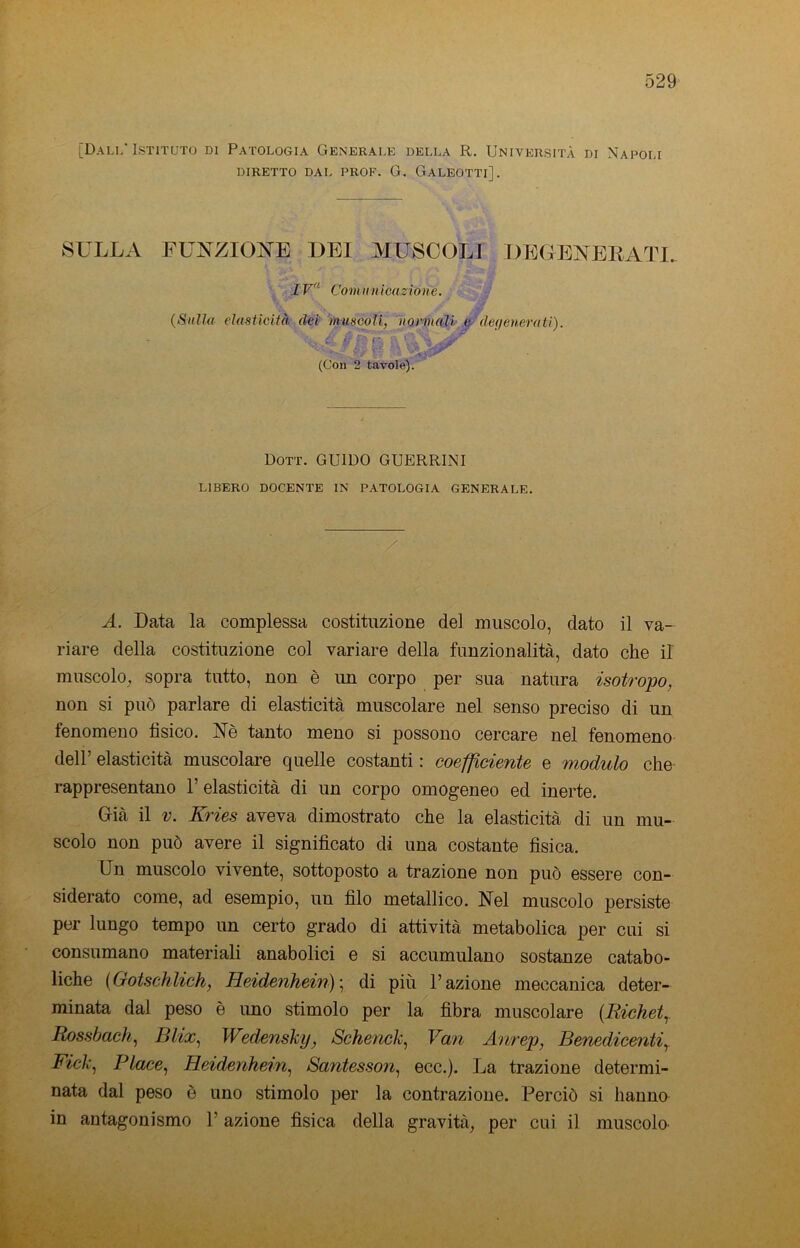 [Dall'Istituto di Patologia Generale della R. Università di Napoli DIRETTO DAL PROF. G. GALEOTTI]. SULLA FUNZIONE DEI MUSCOLI DEGENERATI. IVn Com unicazióne. (Svila elasticità dei muscoli, normali e degenerati). p G (Con 2 tavole). Dorr. GUIDO GUERRINI LIBERO DOCENTE IN PATOLOGIA GENERALE. A. Data la complessa costituzione del muscolo, dato il va- riare della costituzione col variare della funzionalità, dato che il muscolo, sopra tutto, non è un corpo per sua natura isotropo, non si può parlare di elasticità muscolare nel senso preciso di un fenomeno tìsico. Nè tanto meno si possono cercare nel fenomeno dell’ elasticità muscolare quelle costanti : coefficiente e modulo che rappresentano l’elasticità di un corpo omogeneo ed inerte. Già il v. Kries aveva dimostrato che la elasticità di un mu- scolo non può avere il significato di una costante fisica. Un muscolo vivente, sottoposto a trazione non può essere con- siderato come, ad esempio, un filo metallico. Nel muscolo persiste per lungo tempo un certo grado di attività metabolica per cui si consumano materiali anabolici e si accumulano sostanze catabo- liche (Gotschlich, Heidenhein) ; di più l’azione meccanica deter- minata dal peso è imo stimolo per la fibra muscolare (Richet Rossbach, Blix, Wedensky, Schenck, Vari Anrep, Benedicenti, Fick, Place, Heidenhein, Santesson, ecc.). La trazione determi- nata dal peso è uno stimolo per la contrazione. Perciò si hanno in antagonismo 1’ azione fisica della gravità, per cui il muscolo