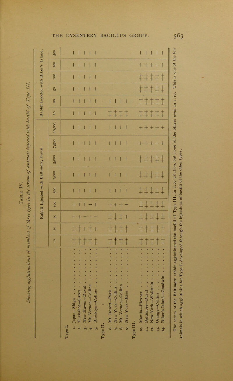 Table IV. Showing agglutinations of members of three types in the seru?n of animals injected with bacilli of Type III. T3 G pj 01 £ 2 ■*-» T3 J2 & 8 vo I I I I I I I I 200 11111 +++++ O 41 1 1 1 O 1 1 1 1 1 O 1 1 1 1 1 “1 b + + + vo 1 1 1 1 1 J L _L _L _L O lllll llll H—1—1—1—b c* 1 1 1 1 1 llll _j j j j 0 ++++ +++++ ++++ +++++ 3 > 3 Q o S CS rG T3 01 -O -Q cJ 8 o I I I II o o 10 till I I I I I I I I I I I I I IMI III! II I I + I I - I H—h 1 + + -t- + + +_r + + 1 + rt rt U be ■ bp I IS u C/3 ' O I * § -g CL 3 _ c/i rt G 5 o .5 Q o - I I Q G O A \ 0 1 G a « 3 01 ^ o *2 p C3 I u 01 c/1 01 Q 01 CL H H Z S pq h « ro rh c/> G • H 0 O 1 G O G cd > 3 Li 0 £ 01 a o X Q ^ 2 | I * t> * £ T3 O 0 0 1 T3 G cd I ° o £ B ^ C 4J £ S na 55 o rt 0 O 1 ~ 0 C/1 bn *»h G 01 cd ^ 01 CL H 'O N CO O' 01 CL H The serum of the Baltimore rabbit agglutinated the bacilli of Type III. in 1: 20 dilution, but none of the others even in 1:10. This is one of the few animals in which agglutinins for Type I. developed through the injections of bacilli of the other types.