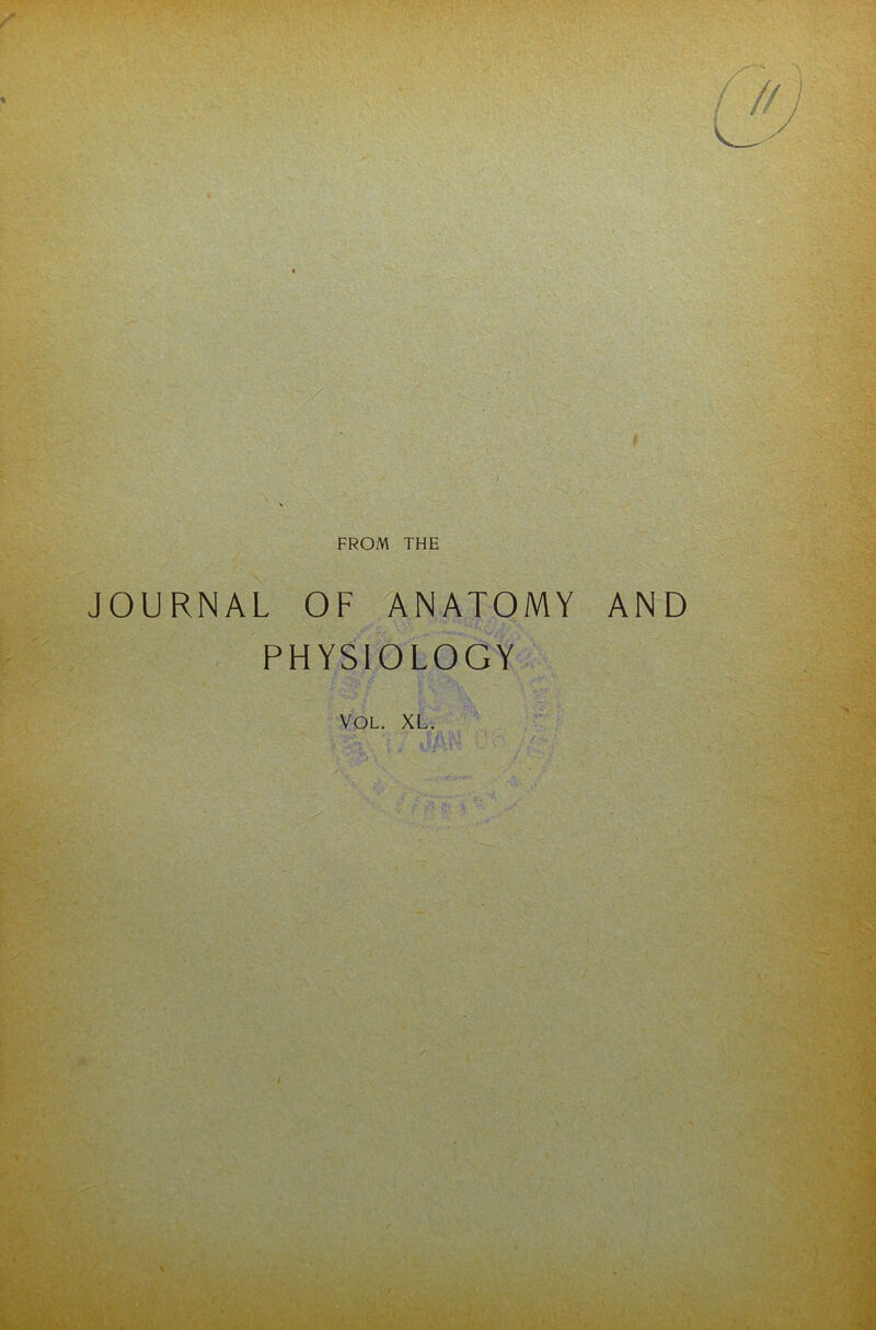 FROM THE JOURNAL OF ANATOMY AND PHYSIOLOGY