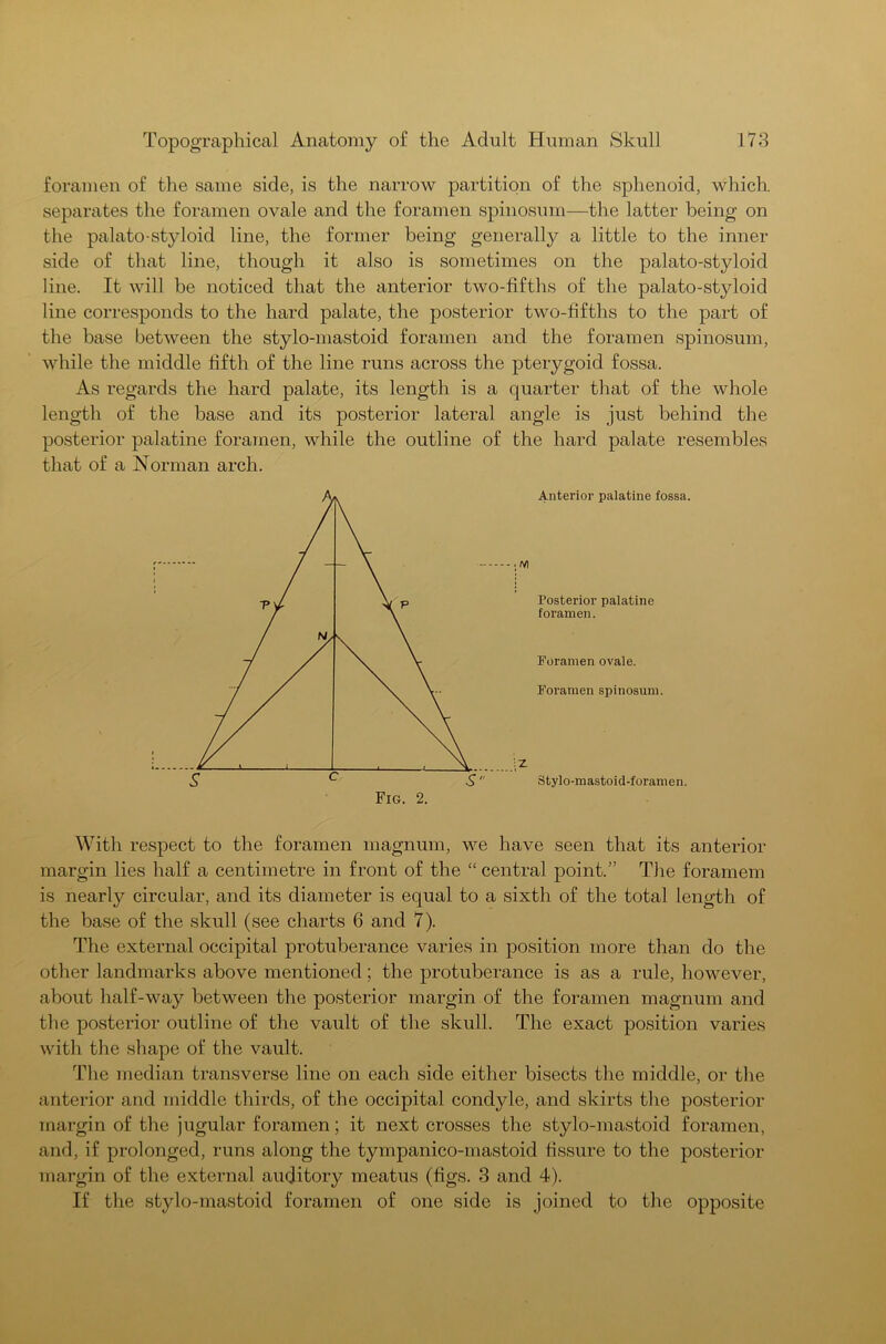 foramen of the same side, is the narrow partition of the sphenoid, which, separates the foramen ovale and the foramen spinosum—the latter being on the palato-styloid line, the former being generally a little to the inner side of that line, though it also is sometimes on the palato-styloid line. It will be noticed that the anterior two-fifths of the palato-styloid line corresponds to the hard palate, the posterior two-fifths to the part of the base between the stylo-mastoid foramen and the foramen spinosum, while the middle fifth of the line runs across the pterygoid fossa. As regards the hard palate, its length is a quarter that of the whole length of the base and its posterior lateral angle is just behind the posterior palatine foramen, while the outline of the hard palate resembles that of a Norman arch. Anterior palatine fossa. wi Posterior palatine foramen. Foramen ovale. Foramen spinosum. ^ :Z S Stylo-mastoid-foramen. Fig. 2. With respect to the foramen magnum, we have seen that its anterior margin lies half a centimetre in front of the “ central point.” The foramem is nearly circular, and its diameter is equal to a sixth of the total length of the base of the skull (see charts 6 and 7). The external occipital protuberance varies in position more than do the other landmarks above mentioned; the protuberance is as a rule, however, about half-way between the posterior margin of the foramen magnum and the posterior outline of the vault of the skull. The exact position varies with the shape of the vault. The median transverse line on each side either bisects the middle, or the anterior and middle thirds, of the occipital condyle, and skirts the posterior margin of the jugular foramen; it next crosses the stylo-mastoid foramen, and, if prolonged, runs along the tympanico-mastoid fissure to the posterior margin of the external auditory meatus (figs. 3 and 4). If the stylo-mastoid foramen of one side is joined to the opposite