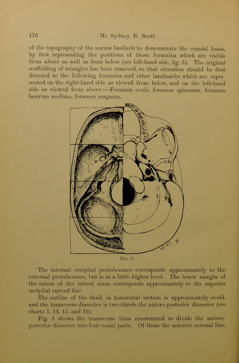 of the topography of the norma basilaris to demonstrate the cranial fossse, by first representing the positions of those foramina which are visible from above as well as from below (see left-hand side, fig. 5). The original scaffolding of triangles has been removed, so that attention should be first directed to the following foramina and other landmarks which are repre- sented on the right-hand side as viewed from below, and on the left-hand side as viewed from above:—Foramen ovale, foramen spinosum, foramen lacerum medium, foramen magnum. The internal occipital protuberance corresponds approximately to the external protuberance, but is at a little higher level. The lower margin of the sulcus of the lateral sinus corresponds approximately to the superior occipital curved line. The outline of the skull in horizontal section is approximately ovoid, and the transverse diameter is two-thirds the antero-posterior diameter (see charts 1, 14, 15, and 16). Fig. 5 shows the transverse lines constructed to divide the antero- posterior diameter into four equal parts. Of these the anterior coronal line,