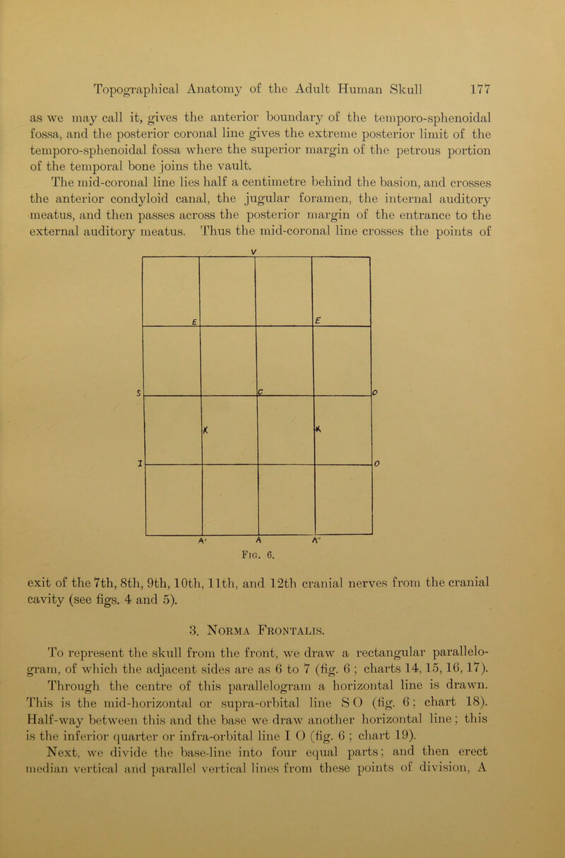 as we may call it, gives the anterior boundary of the temporo-sphenoidal fossa, and the posterior coronal line gives the extreme posterior limit of the temporo-sphenoidal fossa where the superior margin of the petrous portion of the temporal bone joins the vault. The mid-coronal line lies half a centimetre behind the basion, and crosses the anterior condyloid canal, the jugular foramen, the internal auditory meatus, and then passes across the posterior margin of the entrance to the external auditory meatus. Thus the mid-coronal line crosses the points of V exit of the 7th, 8th, 9th, 10th, 11th, and 12th cranial nerves from the cranial cavity (see figs. 4 and 5). 3. Norma Frontalis. To represent the skull from the front, we draw a rectangular parallelo- gram, of which the adjacent sides are as 6 to 7 (fig. 6 ; charts 14,15,16, 17). Through the centre of this parallelogram a horizontal line is drawn. This is the mid-horizontal or supra-orbital line S O (fig. 6; chart 18). Half-way between this and the base we draw another horizontal line; this is the inferior quarter or infra-orbital line I O (fig. 6 ; chart 19). Next, we divide the base-line into four equal parts; and then erect median vertical arid parallel vertical lines from these points of division, A