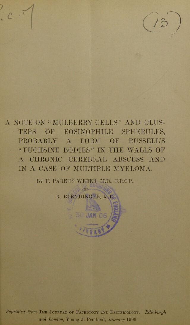 digitised image 3