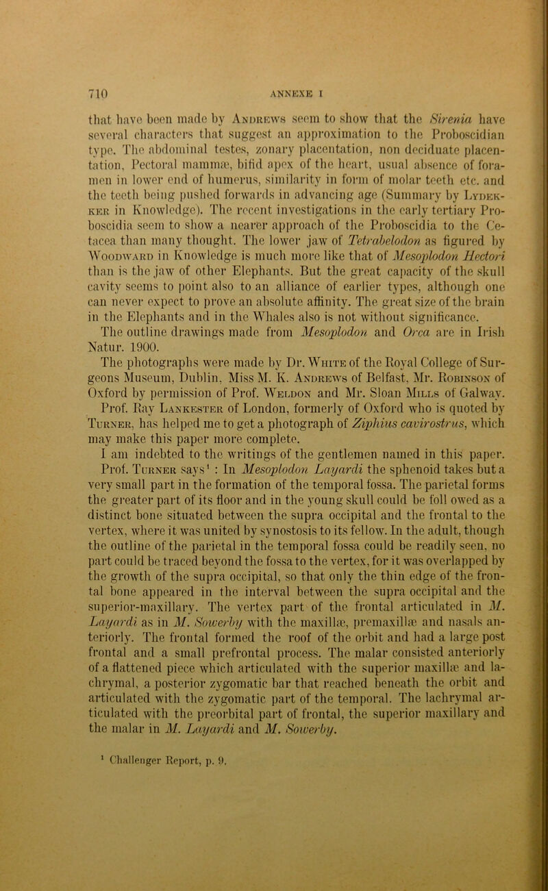 that have been made by Andrews seem to show that the Sirenia have several characters that suggest an approximation to the Proboscidian type. The abdominal testes, zonary placentation, non deciduate placen- tation, Pectoral mammae, bifid apex of the heart, usual absence of fora- men in lower end of humerus, similarity in form of molar teeth etc. and the teeth being pushed forwards in advancing age (Summary by Lydek- ker in Knowledge). The recent investigations in the early tertiary Pro- boscidia seem to show a nearer approach of the Proboscidia to the Ce- tacea than many thought. The lower jaw of Tetrabelodon as figured by Woodward in Knowledge is much more like that of Mesoplodon Hectori than is the jaw of other Elephants. But the great capacity of the skull cavity seems to point also to an alliance of earlier types, although one can never expect to prove an absolute affinity. The great size of the brain in the Elephants and in the Whales also is not without significance. The outline drawings made from Mesoplodon and Orca are in Irish Natur. 1900. The photographs were made by Dr. White of the Royal College of Sur- geons Museum, Dublin, Miss M. K. Andrews of Belfast, Mr. Robinson of Oxford by permission of Prof. Weldon and Mr. Sloan Mills of Galway. Prof. Ray Lankester of London, formerly of Oxford who is quoted by Turner, has helped me to get a photograph of Ziphius cavirostrus, which may make this paper more complete. I am indebted to the writings of the gentlemen named in this paper. Prof. Turner says1 : In Mesoplodon Layardi the sphenoid takes but a very small part in the formation of the temporal fossa. The parietal forms the greater part of its floor and in the young skull could be foil owed as a distinct bone situated between the supra occipital and the frontal to the vertex, where it was united by synostosis to its fellow. In the adult, though the outline of the parietal in the temporal fossa could be readily seen, no part could be traced beyond the fossa to the vertex, for it was overlapped by the growth of the supra occipital, so that only the thin edge of the fron- tal bone appeared in the interval between the supra occipital and the superior-maxillary. The vertex part of the frontal articulated in M. Layardi as in M. Sowerby with the maxillae, premaxillae and nasals an- teriorly. The frontal formed the roof of the orbit and had a large post frontal and a small prefrontal process. The malar consisted anteriorly of a flattened piece which articulated with the superior maxillae and la- chrymal, a posterior zygomatic bar that reached beneath the orbit and articulated with the zygomatic part of the temporal. The lachrymal ar- ticulated with the preorbital part of frontal, the superior maxillary and the malar in M. Layardi and M. Sowerby. 1 Challenger Report, p. 9.