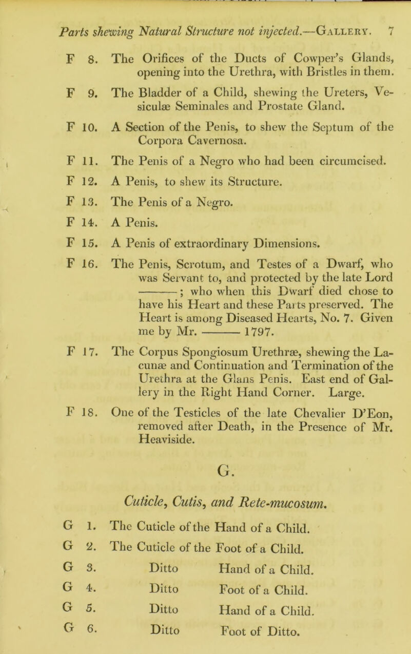 F 8. The Orifices of the Ducts of Cowper’s Glands, opening into the Urethra, with Bristles in them. F 9. The Bladder of a Child, shewing the Ureters, Ve- siculae Seminales and Prostate Gland. F 10. A Section of the Penis, to shew the Septum of the Corpora Cavernosa. F 11. The Penis of a Negro who had been circumcised. F 12. A Penis, to shew its Structure. F 13. The Penis of a Negro. F If A Penis. F 15. A Penis of extraordinary Dimensions. F 16. The Penis, Scrotum, and Testes of a Dwarf, who was Servant to, and protected by the late Lord ; who when this Dwarf died chose to have his Heart and these Pa» ts preserved. The Heart is among Diseased Hearts, No. 7. Given me by Mr. 1797. F 17. The Corpus Spongiosum Urethrae, shewing the La- cunae and Continuation and Termination of the Urethra at the Gians Penis. East end of Gal- lery in the Right Hand Corner. Large. F 18. One of the Testicles of the late Chevalier D’Eon, removed after Death, in the Presence of Mr. Heaviside. G. Cuticle, Cutis, and Rete-mucosum. G 1. The Cuticle of the Hand of a Child. G 2. The Cuticle of the Foot of a Child. G 3. Ditto Hand of a Child. G 4. Ditto Foot of a Child. G 5. Ditto Hand of a Child. G 6. Ditto Foot of Ditto.