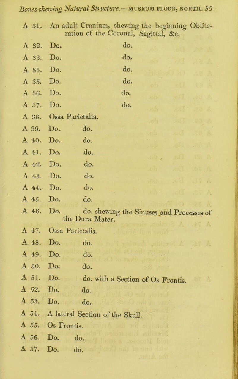 A 31. A 32. A 33. A 34. A 35. A 36. A 37. A 38. A 39. A 40. A 41. A 42. A 43. A 44. A 45. A 46. A 47. A 48. A 49. A 50. A 51. A 52. A 53. A 54. A 55. A 56. An adult Cranium, shewing the beginning Oblite- ration of the Coronal, Sagittal, &c. Do. do. Do. do. Do. do. Do. do. Do. do. Do. do. Ossa Parietalia. Do. do. Do. do. Do. do. Do. do. Do. do. Do. do. Do. do. Do. do. shewing the Sinuses .and Processes of the Dura Mater. Ossa Parietalia. Do. Do. Do. Do. Do. Do. do. do. do. do. with a Section of Os Frontis. do. do. A lateral Section of the Skull. Os Frontis. Do. do.