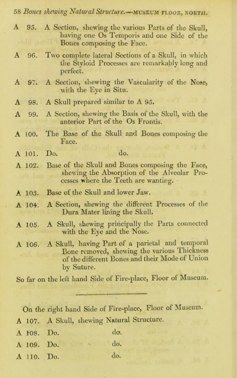 A 95. A Section, shewing the various Parts of the Skull, having one Os Temporis and one Side of the Bones composing the Face. A 96. Two complete lateral Sections of a Skull, in which the Styloid Processes are remarkably long and perfect. A 97. A Section, shewing the Vascularity of the Nose, with the Eye in Situ. A 98. A Skull prepared similar to A 95. A 99. A Section, shewing the Basis of the Skull, with the anterior Part of the Os Frontis. A 100. The Base of the Skull and Bones composing the Face. A 101. Do. do. A 102. Base of the Skull and Bones composing the Face, shewing the Absorption of the Alveolar Pro- cesses where the Teeth are wanting*. A 103. Base of the Skull and lower Jaw. A 104. A Section, shewing the different Processes of the Dura Mater lining the Skull. A 105. A Skull, shewing principally the Parts connected with the Eye and the Nose. A 106. A Skull, having Part of a parietal and temporal Bone removed, shewing the various Thickness of the different Bones and their Mode of Union by Suture. So far on the left hand Side of Fire-place, Floor of Museum. On the right hand Side of Fire-place, Floor of Museum. A 107. A Skull, shewing Natural Structure. A 108. Do. da. A 109. Do. do. A 110. Do. do.