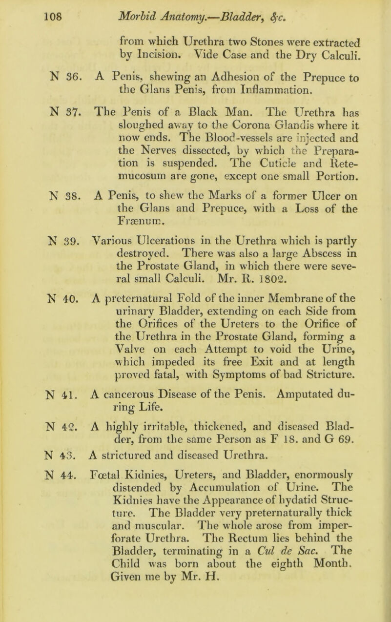 N 36. N 37. N 38. N 39. N 40. N 41. N 42. N 43. N 44. from which Urethra two Stones were extracted by Incision. Vide Case and the Dry Calculi. A Penis, shewing an Adhesion of the Prepuce to the Gians Penis, from Inflammation. The Penis of a Black Man. The Urethra has sloughed away to the Corona Glanclis where it now ends. The Blood-vessels are injected and the Nerves dissected, by which the Prepara- tion is suspended. The Cuticle and Rete- mucosum are gone, except one small Portion. A Penis, to shew the Marks of a former Ulcer on the Gians and Prepuce, with a Loss of the Fraenum. Various Ulcerations in the Urethra which is partly destroyed. There was also a large Abscess in the Prostate Gland, in which there were seve- ral small Calculi. Mr. R. 1802. A preternatural Fold of the inner Membrane of the urinary Bladder, extending on each Side from the Orifices of the Ureters to the Orifice of the Urethra in the Prostate Gland, forming a Valve on each Attempt to void the Urine, which impeded its free Exit and at length proved fatal, with Symptoms of bad Stricture. A cancerous Disease of the Penis. Amputated du- ring Life. A highly irritable, thickened, and diseased Blad- der, from the same Person as F 18. and G 69. A strictured and diseased Urethra. Foetal Kidnies, Ureters, and Bladder, enormously distended by Accumulation of Urine. The Kidnies have the Appearance of hydatid Struc- ture. The Bladder very preternaturally thick and muscular. The whole arose from imper- forate Urethra. The Rectum lies behind the Bladder, terminating in a Cul de Sac. The Child was born about the eighth Month. Given me by Mr. H.