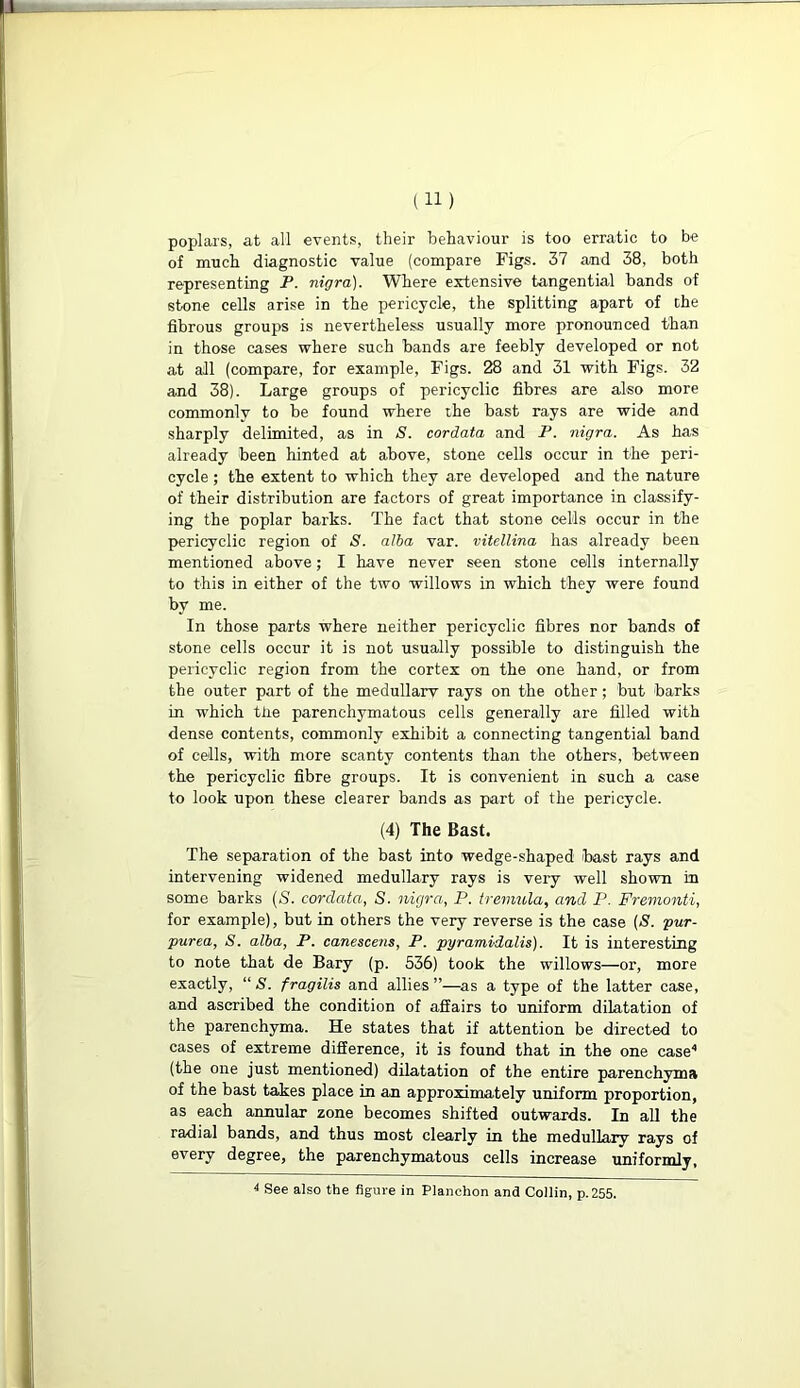poplars, at all events, their behaviour is too erratic to be of much diagnostic value (compare Figs. 37 and 38, both representing P. nigra). Where extensive tangential bands of stone cells arise in the perieycle, the splitting apart of che fibrous groups is nevertheless usually more pronounced than in those cases where such bands are feebly developed or not at all (compare, for example, Figs. 28 and 31 with Figs. 32 and 38). Large groups of pericyclic fibres are also more commonly to be found where the bast rays are wide and sharply delimited, as in S. cordata and P. nigra. As has already been hinted at above, stone cells occur in the peri- cycle ; the extent to which they are developed and the nature of their distribution are factors of great importance in classify- ing the poplar barks. The fact that stone cells occur in the pericyclic region of S. alba var. vitellina has already been mentioned above; I have never seen stone cells internally to this in either of the two willows in which they were found by me. In those parts where neither pericyclic fibres nor bands of stone cells occur it is not usually possible to distinguish the pericyclic region from the cortex on the one hand, or from the outer part of the medullary rays on the other; but barks in which the parenchymatous cells generally are filled with dense contents, commonly exhibit a connecting tangential band of cells, with more scanty contents than the others, between the pericyclic fibre groups. It is convenient in such a case to look upon these clearer bands as part of the perieycle. (4) The Bast. The separation of the bast into wedge-shaped bast rays and intervening widened medullary rays is very well shown in some barks (S. cordata, S. nigra, P. tremula, and P. Fremonti, for example), but in others the very reverse is the case (S. pur- purea, S. alba, P. canescens, P. pyramidalis). It is interesting to note that de Bary (p. 536) took the willows—or, more exactly, “ S. fragilis and allies”—as a type of the latter case, and ascribed the condition of affairs to uniform dilatation of the parenchyma. He states that if attention be directed to cases of extreme difference, it is found that in the one case'1 (the one just mentioned) dilatation of the entire parenchyma of the bast takes place in an approximately uniform proportion, as each annular zone becomes shifted outwards. In all the radial bands, and thus most clearly in the medullary rays of every degree, the parenchymatous cells increase uniformly, 4 See also the figure in Planchon and Collin, p.255.