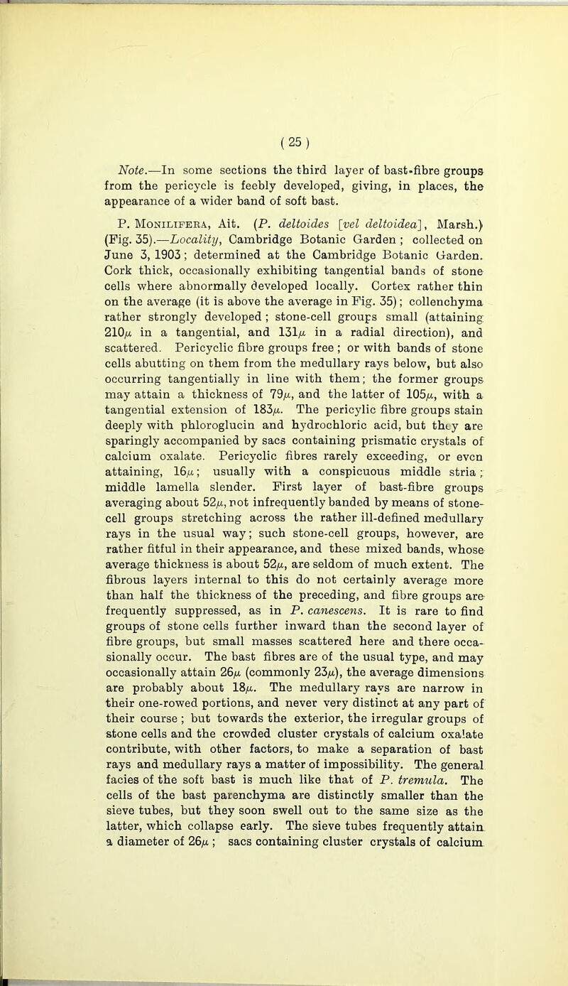 Note.—In some sections the third layer of bast-fibre groups from the pericyele is feebly developed, giving, in places, the appearance of a wider band of soft bast. P. Monilifera, Ait. (P. deltoides [vel deltoidea], Marsh.) (Pig. 35).—Locality, Cambridge Botanic Garden ; collected on June 3, 1903; determined at the Cambridge Botanic Garden. Cork thick, occasionally exhibiting tangential bands of stone cells where abnormally developed locally. Cortex rather thin on the average (it is above the average in Pig. 35); collenchyma rather strongly developed ; stone-cell groups small (attaining 210//. in a tangential, and 131// in a radial direction), and scattered. Pericyclic fibre groups free ; or with bands of stone cells abutting on them from the medullary rays below, but also occurring tangentially in line with them; the former groups may attain a thickness of 79/4, and the latter of 105/4, with a tangential extension of 183/4. The pericylic fibre groups stain deeply with phloroglucin and hydrochloric acid, but they are sparingly accompanied by sacs containing prismatic crystals of calcium oxalate. Pericyclic fibres rarely exceeding, or even attaining, 16/4; usually with a conspicuous middle stria; middle lamella slender. First layer of bast-fibre groups averaging about 52/4, not infrequently banded by means of stone- cell groups stretching across the rather ill-defined medullary rays in the usual way; such stone-cell groups, however, are rather fitful in their appearance, and these mixed bands, whose average thickness is about 52/4, are seldom of much extent. The fibrous layers internal to this do not certainly average more than half the thickness of the preceding, and fibre groups are frequently suppressed, as in P. canescens. It is rare to find groups of stone cells further inward than the second layer of fibre groups, but small masses scattered here and there occa- sionally occur. The bast fibres are of the usual type, and may occasionally attain 26/4 (commonly 23/4), the average dimensions are probably about 18/4. The medullary rays are narrow in their one-rowed portions, and never very distinct at any part of their course ; but towards the exterior, the irregular groups of stone cells and the crowded cluster crystals of calcium oxalate contribute, with other factors, to make a separation of bast rays and medullary rays a matter of impossibility. The general facies of the soft bast is much like that of P. tremula. The cells of the bast parenchyma are distinctly smaller than the sieve tubes, but they soon swell out to the same size as the latter, which collapse early. The sieve tubes frequently attain a diameter of 26/4; sacs containing cluster crystals of calcium