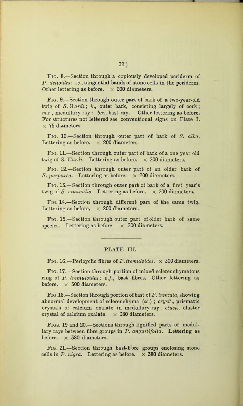 Fig. 8.—Section through a copiously developed periderm of P. cleltoides; sc., tangential bands of stone cells in the periderm. Other lettering as before, x 200 diameters. Fig. 9.—Section through outer part of bark of a two-year-old twig of S.\\ardi\ k., outer bark, consisting largely of cork; m.r., medullary ray; b.r., bast ray. Other lettering as before. For structures not lettered see conventional signs on Plate I. x 75 diameters. Fig. 10.—Section through outer part of bark of S. alba. Lettering as before, x 200 diameters. Fig. 11.—Section through outer part of bark of a one-year-old twig of S. Wardi. Lettering as before, x 200 diameters. Fig. 12.—Section through outer part of an older bark of S. purpurea. Lettering as before, x 200 diameters. Fig. 13.—Section through outer part of bark of a first year’s twig of S. viminalis. Lettering as before, x 200 diameters. Fig. 14.—Section through different part of the same twig. Lettering as before, x 200 diameters. Fig. 15.—Section through outer part of older bark of same species. Lettering as before, x 200 diameters. PLATE III. Fig. 16.—Pericyclic fibres of P. treinuloides. x 300 diameters. Fig. 17.—Section through portion of mixed sclerenchymatous ring of P. tremuloides; &./., bast fibres. Other lettering as before, x 300 diameters. Fig.18.—Section through portion of bast of P. tremula, showing abnormal development of sclerenchyma (sc.) ; cryst'., prismatic crystals of calcium oxalate in medullary ray; clust., cluster crystal of calcium oxalate, x 380 diameters. Figs. 19 and 20.—Sections through lignified parts of medul- lary rays between fibre groups in P. anguslifolia. Lettering as before, x 380 diameters. Fig. 21.—Section through bast-fibre groups enclosing stone cells in P. nigra. Lettering as before, x 380 diameters.