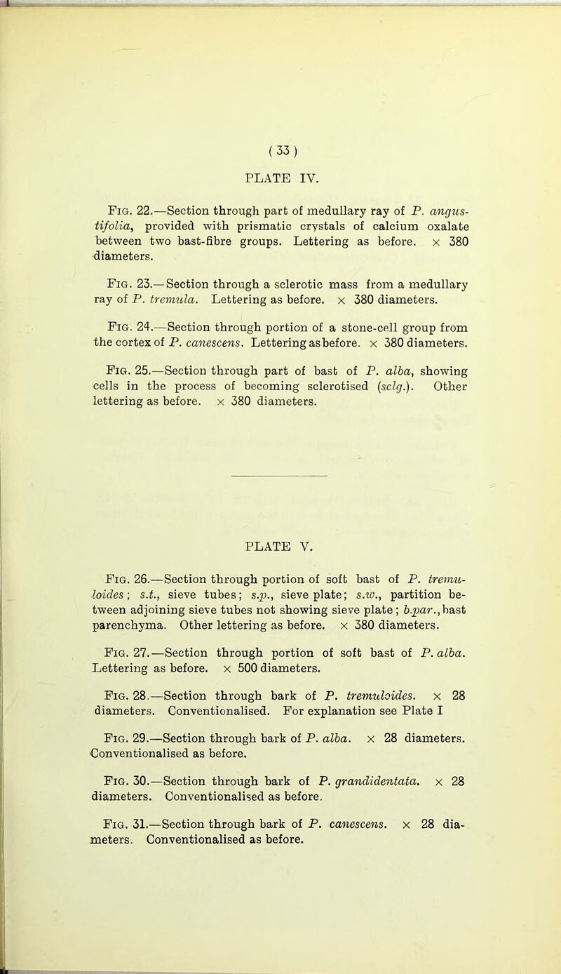 PLATE IV. Fig. 22.—Section through part of medullary ray of P. angus- tifolia, provided with prismatic crystals of calcium oxalate between two bast-fibre groups. Lettering as before, x 380 diameters. Fig. 23.—Section through a sclerotic mass from a medullary ray of P. tremula. Lettering as before, x 380 diameters. Fig. 24.—Section through portion of a stone-cell group from the cortex of P. canescens. Lettering as before, x 380 diameters. Fig. 25.—Section through part of bast of P. alba, showing cells in the process of becoming sclerotised (sclg.). Other lettering as before, x 380 diameters. PLATE V. Fig. 26.—Section through portion of soft bast of P. tremu- loides; s.t., sieve tubes; s.p., sieve plate; s.w., partition be- tween adjoining sieve tubes not showing sieve plate ; b.par.,bast parenchyma. Other lettering as before, x 380 diameters. Fig. 27.—Section through portion of soft bast of P.alba. Lettering as before, x 500 diameters. Fig. 28.—Section through bark of P. tremuloides. x 28 diameters. Conventionalised. For explanation see Plate I Fig. 29.—Section through bark of P. alba, x 28 diameters. Conventionalised as before. Fig. 30.—Section through bark of P. grandidentata. x 28 diameters. Conventionalised as before. Fig. 31.—Section through bark of P. canescens. x 28 dia- meters. Conventionalised as before.