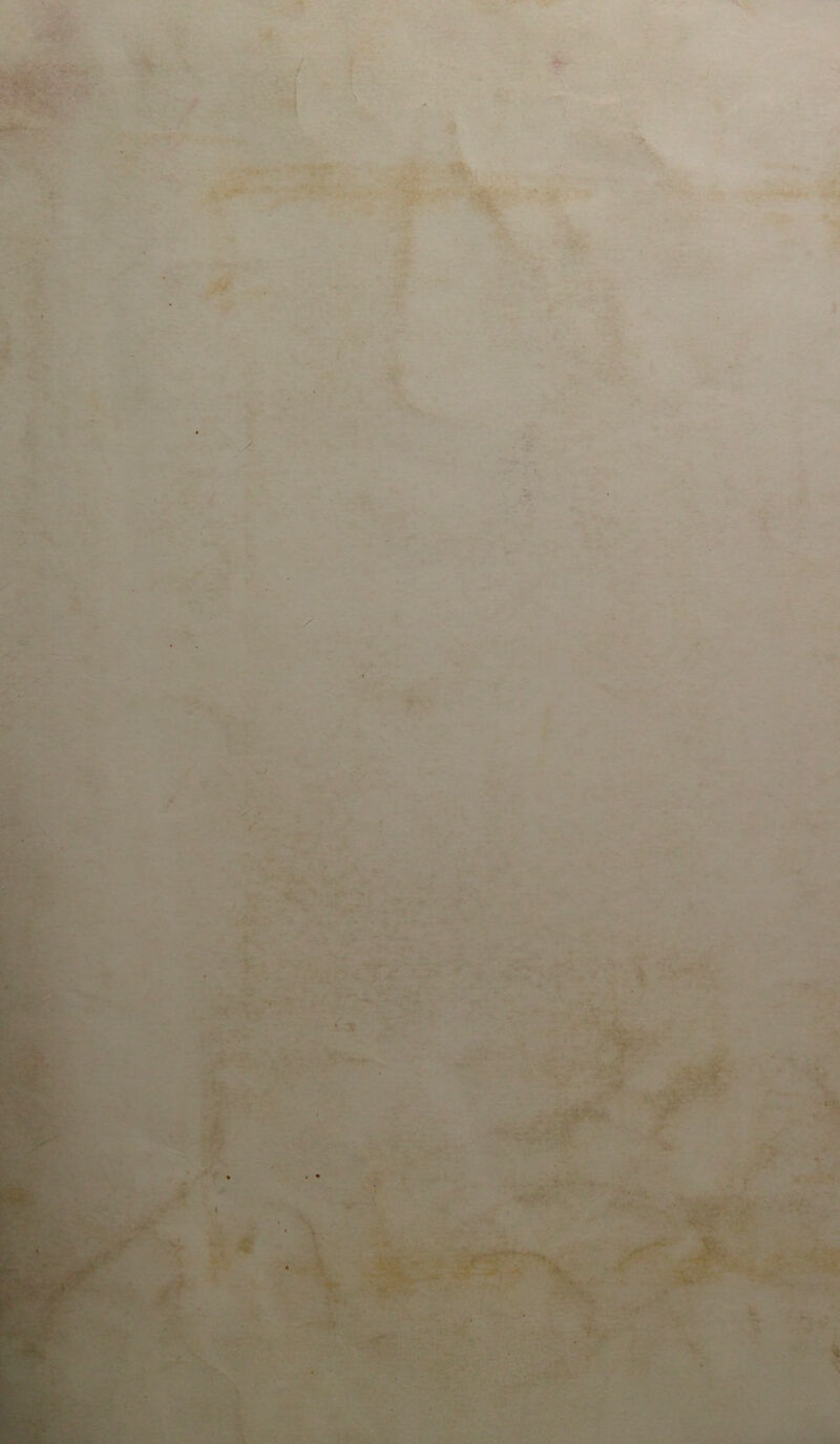 Jé*.-., ■ - ■ t . • • • . ' - • ■' . . ■ ■■ ■ -:WM < v:. . . ■