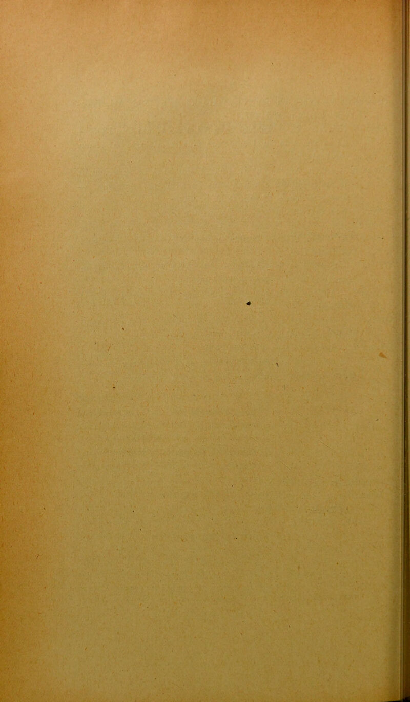 f . . . ;iv V V*-‘-À - ' ■ •• . t A > v i ■ ; ,j... , : > l ,  ' ' ■r ; . , , f'.-v '■ ‘ ' ' ■ ' v ’ ■ . • - ' ' tes :i *v . M V f* .kl' . / Hgfc. ■ < v < ' i . n . •