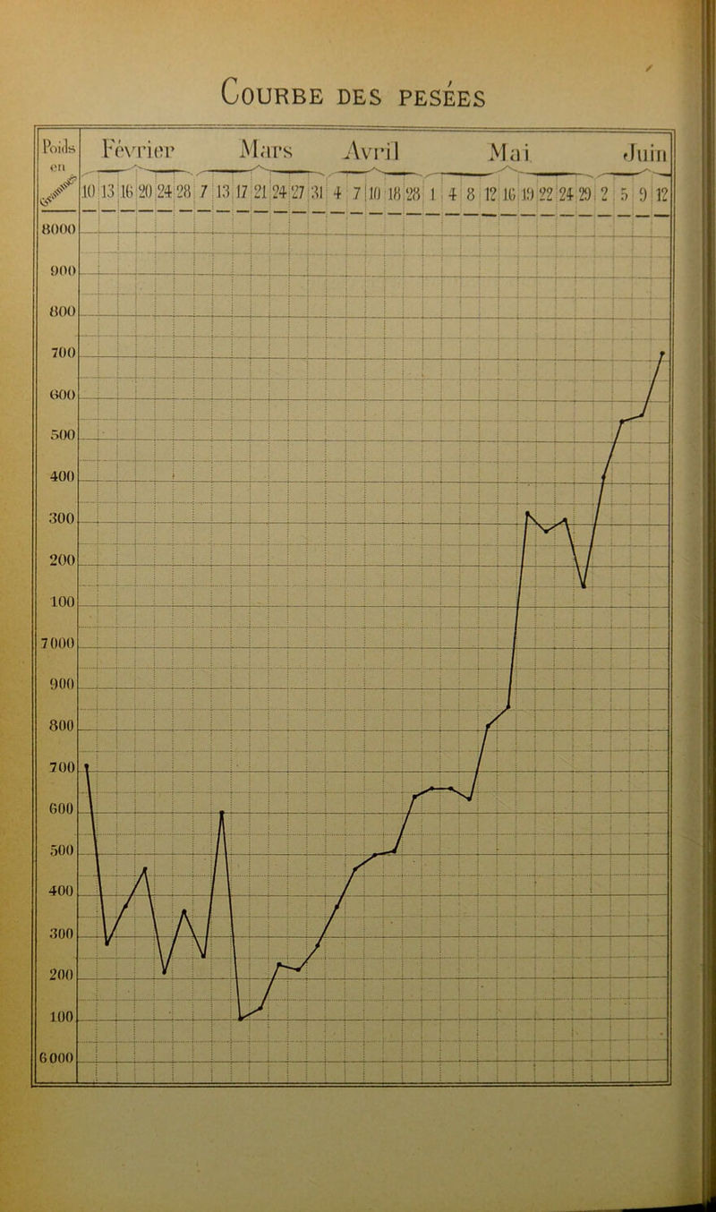 ✓ Courbe des pesées Poids en Février Ma irs Avril Mai. f lu in / 10113 ! 16 mm 28 71 3 17 21 24 27 81 i : ! 4 7 10-18 28 1 4 : : ! : : ; 8 1? 10 19 22 24- 29 ;2 5 9 il? 8000 [ ; ! ! j : ! 'IT ! r- 900 . = L • : 800 1 ! ! 700 —i r —J— ! / 600 1 i r J -—r— i J 500 j. r / ( 400 300 i i làjÉÉI 200 : i ! : 100 I • 7000 900 i 800 j : i 700 . | s— J 000 r s/ / 500 1 1 400 f 1 J 300 • s ! i ; : < A 200 i . 100 ■ •! « .i -4 6000 : :