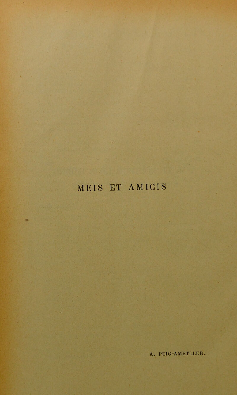 MEIS ET AMICIS