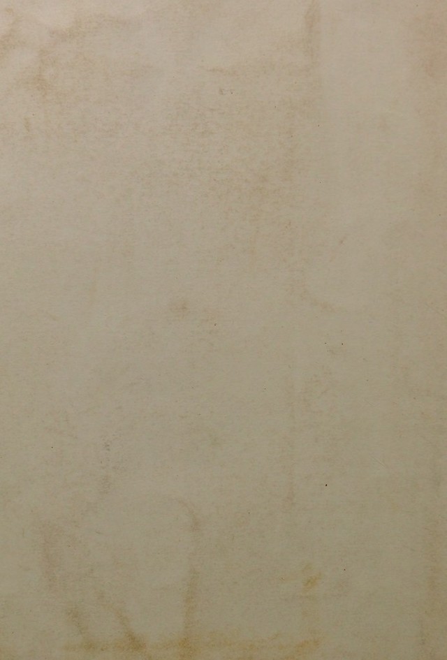 digitised image 2