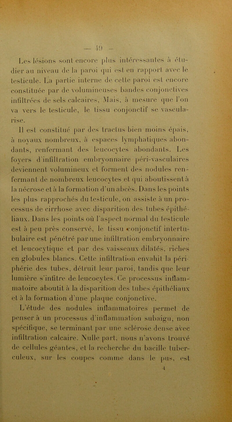 Les lésions sont encore plus iniéressjanlès à <'kln- dier au niveau de la paroi <pii est eu rapport nvtr le testicule. La partie interne de cette paroi est encore constituée par de volumineuses bandes conjonctives infiltrées de sels calcaires, Mais, à mesure que bon va vers le testicule, le tissu conjonctif se vascula- risé. 11 est constitué par des tractus bien moins épais, à noyaux nombreux, à espaces lymphatiques abon- dants, renfermant des leucocytes abondants. Les foyers d'infiltration embryonnaire péri-vasculaires deviennent volumineux et forment des nodules ren- fermant de nombreux leucocytes^et qui aboutissent à la nécrose et à la formation d’un abcès. Dans les points les plus rapprochés du testicule, on assiste à un pro- cessus de cirrhose avec disparition des tubes épithé- liaux. Dans les points où l’aspect normal du testicule est à peu près conservé, le tissu conjonctif intertu- bulaire est pénétré par une intiltration embryonnaire et leucocytique et par des vaisseaux dilatés, riches en globules blancs. Cette infiltration envahit la péri- phérie des tubes, détruit leur paroi, tandis que leur lumière s’infitre de leucocytes. Ce processus inflam- matoire aboutit à la disparition des tubes épithéliaux et à la formation d’une plaque conjonctive. L’étude des nodules inflammatoires permet de pensera un processus d’inflammation subaigu, non spécifique, se terminant par une sclérose dense avec infiltration calcaire. Nulle part, nous n’avons trouvé de cellules géantes, et la recherche du bacille tuber- culeux, sur les coupes comme dans le pus, est 4