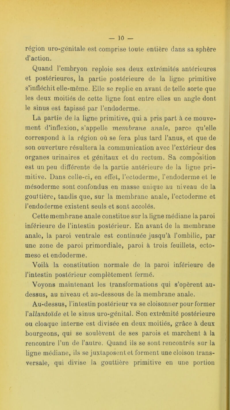 région uro-génitale est comprise toute entière dans sa sphère d’action. Quand l’embryon reploie ses deux extrémités antérieures et postérieures, la partie postérieure de la ligne primitive s’infléchit elle-même. Elle se replie en avant de telle sorte que les deux moitiés de cette ligne font entre elles un angle dont le sinus est tapissé par l’endoderme. La partie de la ligne primitive, qui a pris part à ce mouve- ment d’inflexion, s’appelle membrane anale, parce qu’elle correspond à la région où se fera plus tard l’anus, et que de son ouverture résultera la communication avec l’extérieur des organes urinaires et génitaux et du rectum. Sa composition est un peu différente de la partie antérieure de la ligne pri- mitive. Dans celle-ci, en effet, l’ectoderme, l’endoderme et le mésoderme sont confondus en masse unique au niveau de la gouttière, tandis que, sur la membrane anale, l’ectoderme et l’endoderme existent seuls et sont accolés. Cette membrane anale constitue sur la ligne médiane la paroi inférieure de l’intestin postérieur. En avant de la membrane anale, la paroi ventrale est continuée jusqu’à l’ombilic, par une zone de paroi primordiale, paroi à trois feuillets, ecto- meso et endoderme. Voilà la constitution normale de la paroi inférieure de l’intestin postérieur complètement fermé. Voyons maintenant les transformations qui s’opèrent au- dessus, au niveau et au-dessous de la membrane anale. Au-dessus, l’intestin postérieur va se cloisonner pour former Y allantoïde et le sinus uro-génital. Son extrémité postérieure ou cloaque interne est divisée en deux moitiés, grâce à deux bourgeons, qui se soulèvent de ses parois et marchent à la rencontre l’un de l’autre. Quand ils se sont rencontrés sur la ligne médiane, ils se juxtaposent et forment une cloison trans- versale, qui divise la gouttière primitive en une portion