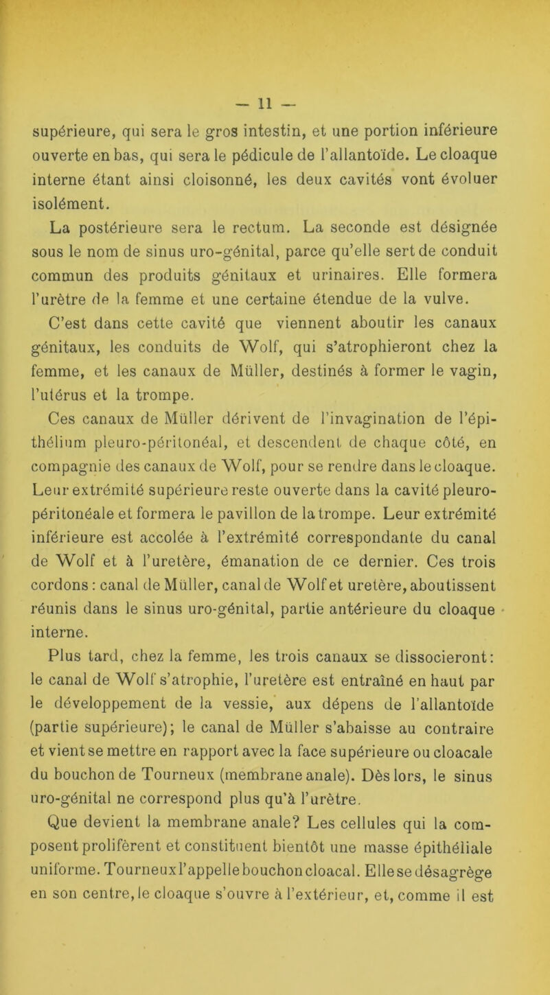 supérieure, qui sera le gros intestin, et une portion inférieure ouverte en bas, qui sera le pédicule de l’allantoïde. Le cloaque interne étant ainsi cloisonné, les deux cavités vont évoluer isolément. La postérieure sera le rectum. La seconde est désignée sous le nom de sinus uro-génital, parce qu’elle sert de conduit commun des produits génitaux et urinaires. Elle formera l’urètre de la femme et une certaine étendue de la vulve. C’est dans cette cavité que viennent aboutir les canaux génitaux, les conduits de Wolf, qui s’atrophieront chez la femme, et les canaux de Müller, destinés à former le vagin, l’utérus et la trompe. Ces canaux de Müller dérivent de l’invagination de l’épi- thélium pleuro-péritonéal, et descendent de chaque côté, en compagnie des canaux de Wolf, pour se rendre dans le cloaque. Leur extrémité supérieure reste ouverte dans la cavité pleuro- péritonéale et formera le pavillon de la trompe. Leur extrémité inférieure est accolée à l’extrémité correspondante du canal de Wolf et à l’uretère, émanation de ce dernier. Ces trois cordons : canal de Müller, canal de Wolf et uretère, aboutissent réunis dans le sinus uro-génital, partie antérieure du cloaque interne. Plus tard, chez la femme, les trois canaux se dissocieront: le canal de Wolf s’atrophie, l’uretère est entraîné en haut par le développement de la vessie, aux dépens de l’allantoïde (partie supérieure); le canal de Müller s’abaisse au contraire et vient se mettre en rapport avec la face supérieure ou cloacale du bouchon de Tourneux (membrane anale). Dès lors, le sinus uro-génital ne correspond plus qu’à l’urètre. Que devient la membrane anale? Les cellules qui la com- posent prolifèrent et constituent bientôt une masse épithéliale uniforme. Tourneux l’appelle bouchon cloacal. Elle se désagrège en son centre, le cloaque s’ouvre à l’extérieur, et, comme il est