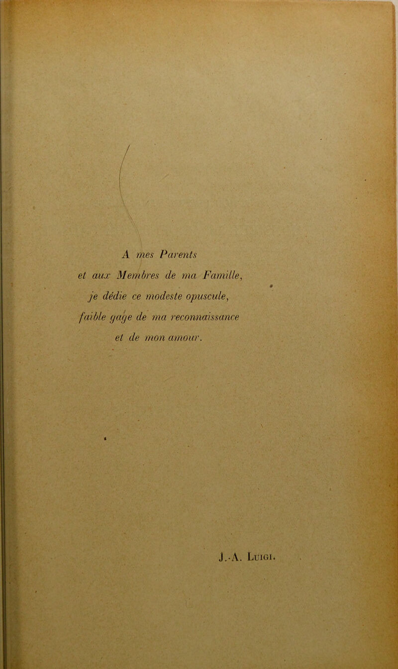 A mes Parents et aux Membres de ma Famille, je dédie ce modeste opuscule, faible gage de ma reconnaissance et de mon amour.