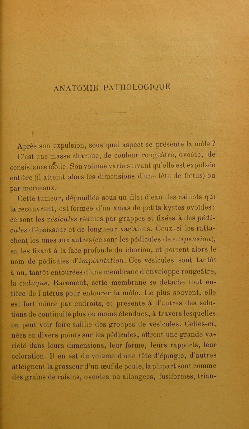 ANATOMIE PATHOLOGIQUE Après son expulsion, sous quel aspect se présente la môle ? C’est une masse charnue, de couleur rougeâtre, ovoïde, de consistancenfolle. Son volume varie suivant qu’elle est expulsée entière (il atteint alors les dimensions- d’une tête de foetus) ou par morceaux. Cette tumeur, dépouillée sous un filet d’eau des caillots qui la recouvrent, est formée d’un amas de petits kystes ovoïdes: ce sont les vésicules réunies par grappes et fixées à des pédi- cules d’épaisseur et de longueur variables. Ceux-ci les ratta- chent les unes aux autres (ce sont les pédicules de suspension), en les fixant à la face profonde du chorion, et portent alors le nom de pédicules dHmplsintation. Ces vésicules sont tantôt à nu, tantôt entourées d’une membrane d’enveloppe rougeâtre, la caduque. Rarement, cette membrane se détache tout en- tière de l’utérus,pour entourer la môle. Le plus souvent, elle est fort mince par endroits, et présente à d’autres des solu- tions de continuité plus ou moins étendues, à travers lesquelles on peut voir faire saillie des groupes de vésicules. Celles-ci, nées en divers points sur les pédicules, ofirent une grande va- riété dans leurs dimensions, leur forme, leurs rapports, leur coloration. Il en est du volume d’une tête d’épingle, d’autres atteignent la grosseur d’un œuf de poule, laplupart sont comme des grains de raisins, ovoïdes ou allongées, fusiformes, trian-