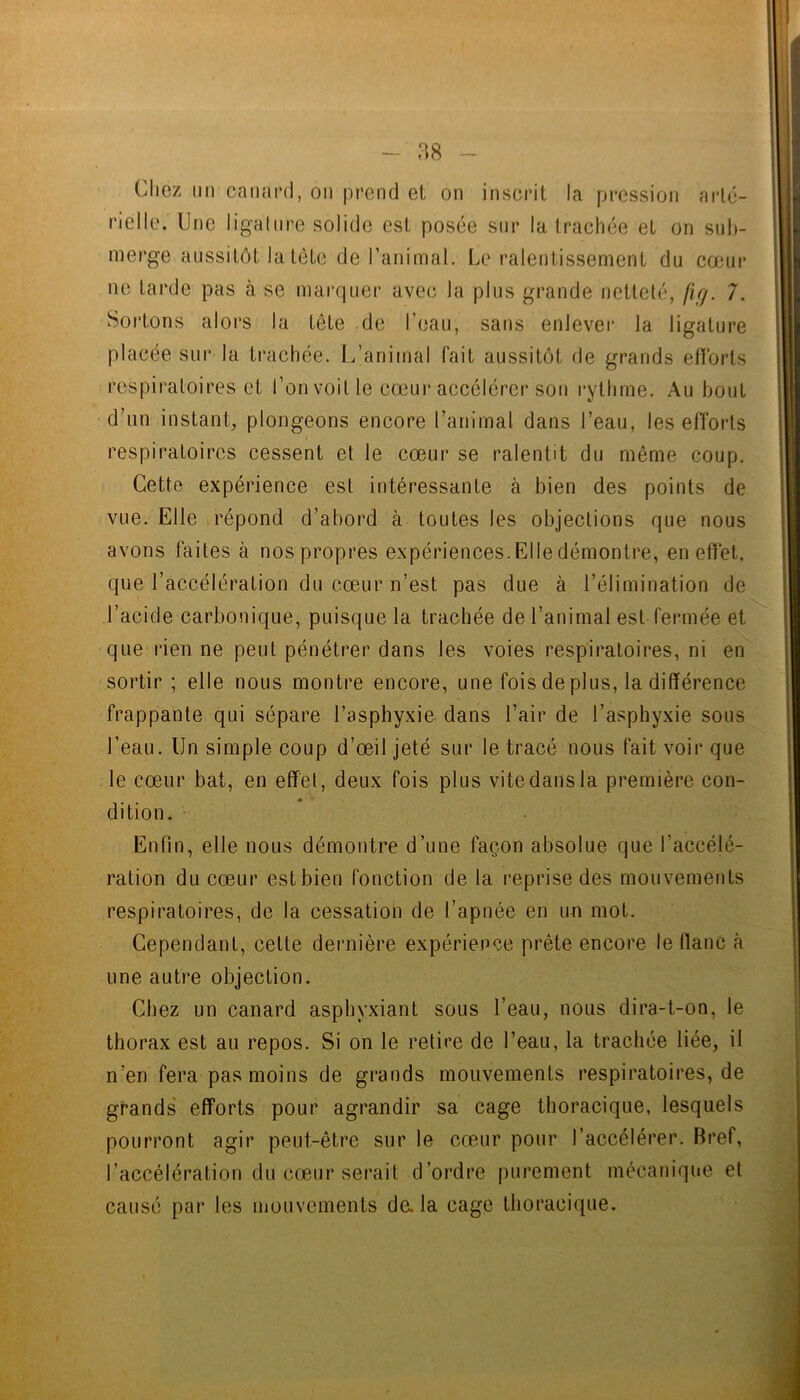 Cliez (II) canand, ou pi’end eL on inscrit la pression arté- rielle. Une ligature solide est posée sur la trachée et on sub- merge aussitôt la tête de Tanimal. Le ralentissement du cœur ne tarde pas à se marquer avec la plus grande netteté, fir/. 7. Sortons alors la tête de l’eau, sans enlever la ligature placée sur la trachée. L’animal fait aussitôt de grands efforts respiratoires et l’on voit le cœur accélérer son rythme. Au bout d’iin instant, plongeons encore l’animal dans l’eau, les efforts respiratoires cessent et le cœur se ralentit du même coup. Cette expéidence est intéressante à bien des points de vue. Elle répond d’abord à toutes les objections que nous avons faites à nos propres expériences. Elle démontre, en effet, que l’accélération du cœur n’est pas due à l’élimination de l’acide carbonique, puisque la trachée de l’animal est fermée et que rien ne peut pénétrer dans les voies respiratoires, ni en sortir; elle nous montre encore, une fois de plus, la différence frappante qui sépare l’asphyxie dans l’air de l’asphyxie sous l’eau. Un simple coup d’œil jeté sur le tracé nous fait voir que le cœur bat, en effet, deux fois plus vite dans la première con- « dition. ■ Enfin, elle nous démontre d’une façon absolue que l’accélé- ration du cœur est bien fonction de la reprise des mouvements respiratoires, de la cessation de l’apnée en un mot. Cependant, cette dernière expérience prête encore le flanc à une autre objection. Chez un canard asphyxiant sous l’eau, nous dira-t-on, le thorax est au repos. Si on le retire de l’eau, la trachée liée, il n’en fera pas moins de grands mouvements respiratoires, de grands' efforts pour agrandir sa cage thoracique, lesquels pourront agir peut-être sur le cœur pour l’accélérer. Bref, l’accélération du cœur serait d’ordre purement mécanique et causé par les mouvements da la cage thoracique.