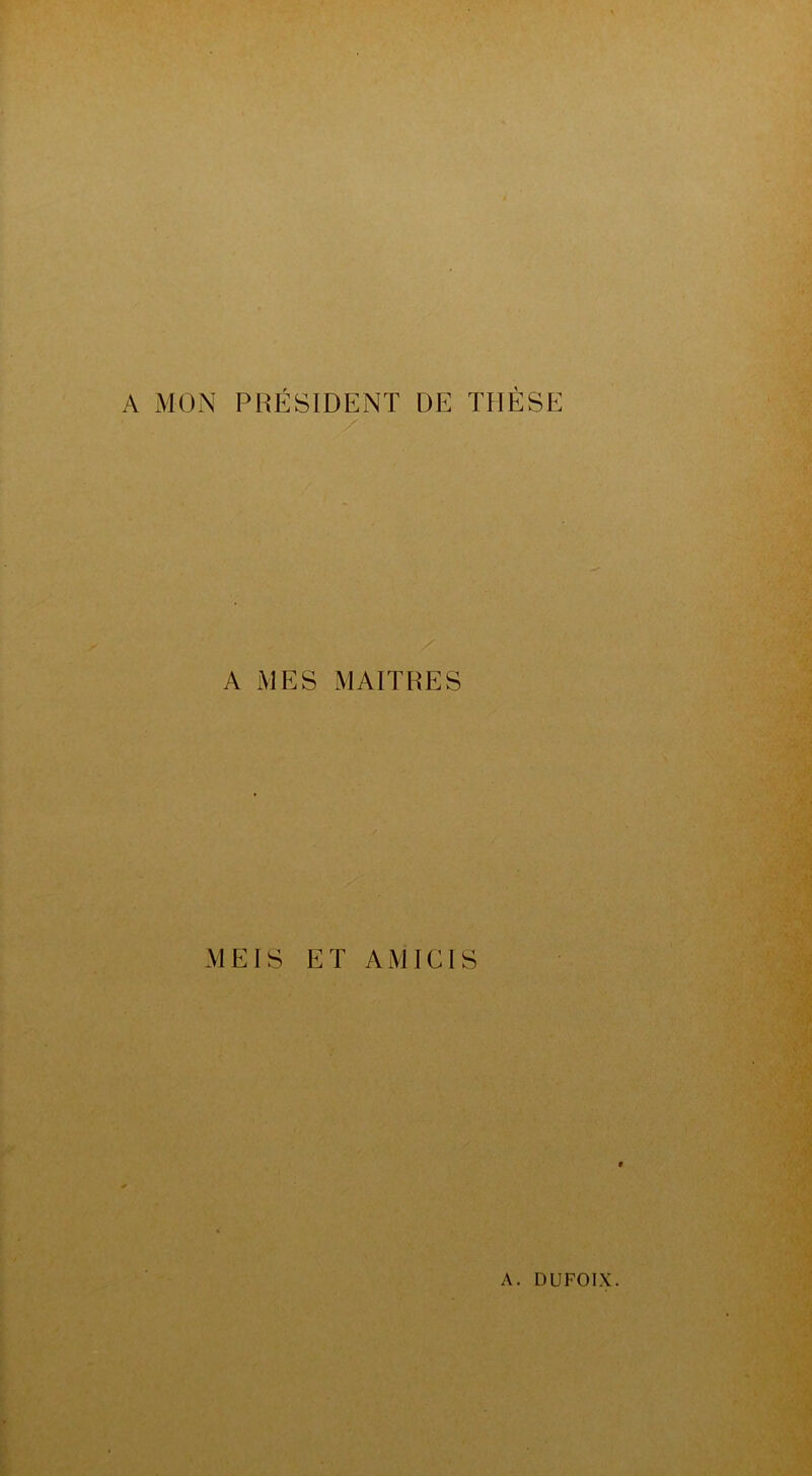 A MON PRÉSIDENT DE THÈSE A MES MAITRES MEIS ET AM ICI S A. DUFOIX