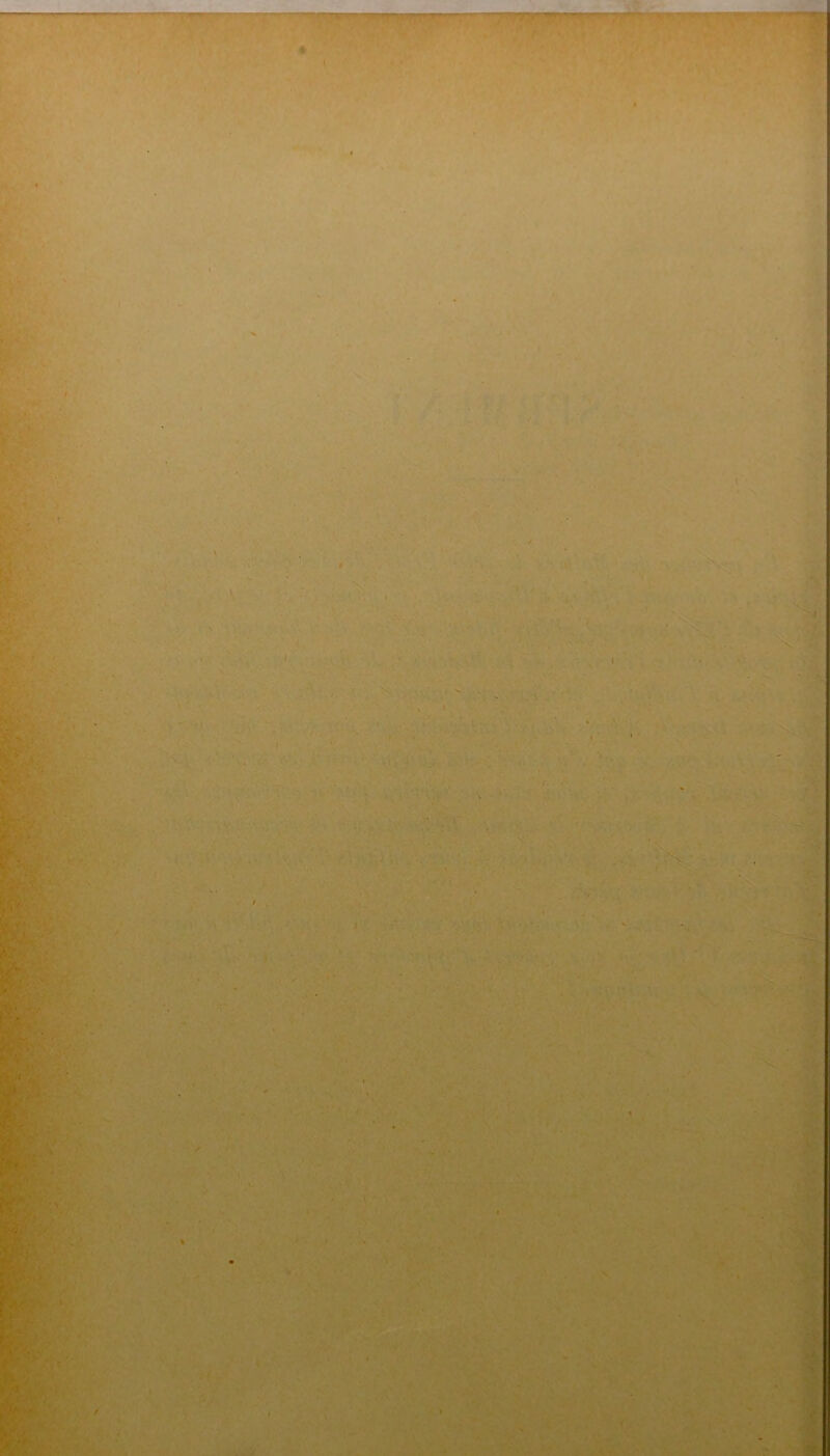 (i' \ ^1 - ^ ^*s vIv?89IXv^ V  ^ ■ ■■' :'---'->W^; '■ .''uf^ . <- ■ ,' , i ^ >. . •- I V .» 'V‘ ' \ ■■■- -.• ' A. * • • •.* . ' .'3' -î 4>i i»' .J-v' ■ ■ ''^ ■ r>--' • ; ;;.’i *'••; - V,.:' r V ■ ^ ' ,• •'. ■'■ ’-i. ' « •;• ’-.f. ••:Tÿ. v,v. • • ', .'iV-jj ' - 'î‘>.7v.i’.-.v ■ ^ •> . JV ',v , f V ' ' , . • > O-.’ Il-, ,v ,• ‘l '‘ir■ '■'' -H*'. .-Aii^V'Ü . . ?‘'f. «>j . >4 -,. ^ ,y* . M,c' - .'f, *•