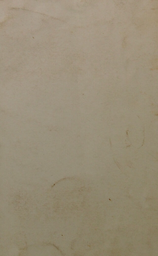 digitised image 2
