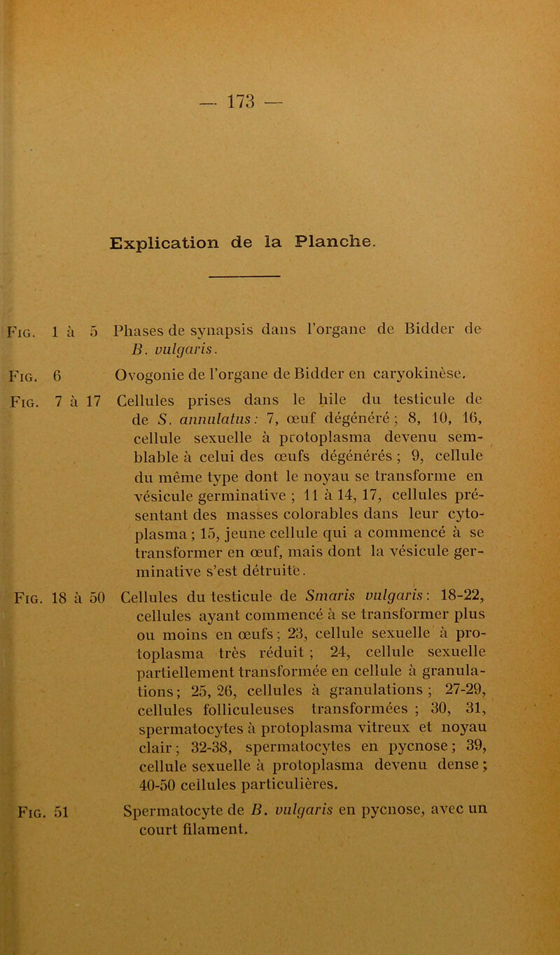 — 173 — Explication de la Planciie. Fig. 1 à 5 Phases de synapsis dans l’organe de Bidder de B. uulgaris. Fig. 6 Ovogonie de l’organe de Bidder en caryokinèse. Fig. 7 à 17 Cellules prises dans le hile du testicule de de S. anmilatiis: 7, œuf dégénéré; 8, 10, 16, cellule sexuelle à protoplasma devenu sem- blable à celui des œufs dégénérés ; 9, cellule du même type dont le noyau se transforme en vésicule germinative ; 11 à 14, 17, cellules pré- sentant des masses colorables dans leur cyto- plasma ; 15, jeune cellule qui a commencé à se transformer en œuf, mais dont la vésicule ger- minative s’est détruite. I Fig. 18 à 50 Cellules du testicule de Smaris valgaris : 18-22, cellules ayant commencé à se transformer plus ou moins en œufs ; 23, cellule sexuelle à pro- toplasma très réduit ; 24, cellule sexuelle partiellement transformée en cellule à granula- tions ; 25, 26, cellules à granulations ; 27-29, cellules folliculeuses transformées ; 30, 31, spermatocytes à protoplasma vitreux et noyau clair; 32-38, spermatocytes en pycnose ; 39, cellule sexuelle à protoplasma devenu dense ; 40-50 cellules particulières. Fig. 51 Spermatocyte de B. valgaris en pycnose, avec un court filament.