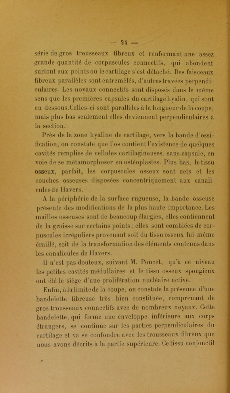 série de gros trousseaux fibreux et renfermant une assez grande quantité de corpuscules connectifs, qui abondent surtout aux points où le cartilage s’est détaché. Des faisceaux fibreux parallèles sont entremêlés, d’autres travées perpendi- culaires. Les noyaux connectifs sont disposés dans le même sens que les premières capsules du cartilage hyalin, qui sont en dessous.Celles-ci sont parallèles à la longueur de la coupe, mais plus bas seulement elles deviennent perpendiculaires à la section. Près de la zone hyaline de cartilage, vers la bande d’ossi- fication, on constate que l’os contient l’existence de quelques cavités remplies de cellules cartilagineuses, sans capsule, en voie de se métamorphoser en ostéoplasles. Plus bas, le tissu osseux, parfait, les corpuscules osseux sont nets et les couches osseuses disposées concentriquement aux canali- culesde Havers. A la périphérie de la surface rugueuse, la bande osseuse présente des modifications de la plus haute importance. Les mailles osseuses sont de beaucoup élargies, elles contiennent île la graisse sur certains points : elles sont comblées de cor- puscules irréguliers provenant soit du tissu osseux lui même éraillé, soit de la transformation des éléments contenus dans les canalicules de Havers. 11 n’est pas douteux, suivant M. Poncet, qu’à ce niveau les petites cavités médullaires et le tissu osseux spongieux ont été le siège d’une prolifération nucléaire active. Enfin, àla limite de la coupe, on constate laprésence d’une bandelette fibreuse très bien constituée, comprenant de gros trousseaux connectifs avec de nombreux noyaux. Cette bandelette, qui forme une enveloppe inférieure aux corps étrangers, se continue sur les parties perpendiculaires du cartilage et va se confondre avec les trousseaux fibreux que nous avons décrits à la partie supérieure. Ce tissu conjonctif r