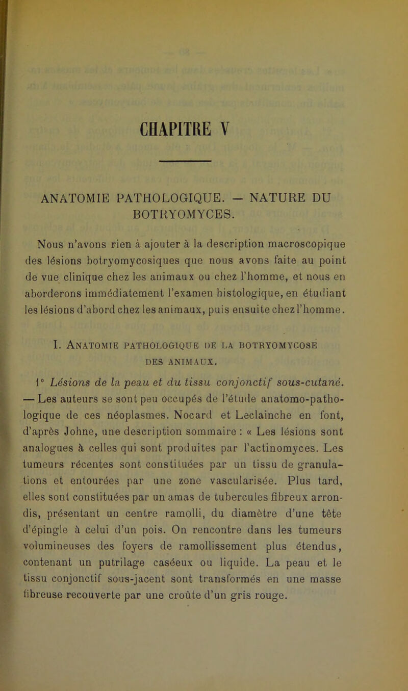 CHAPITRE Y ANATOMIE PATHOLOGIQUE. - NATURE DU BOTRYOMYCES. Nous n’avons rien à ajouter à la description macroscopique des lésions botryomycosiques que nous avons faite au point de vue clinique chez les animaux ou chez l’homme, et nous en aborderons immédiatement l’examen histologique, en étudiant les lésions d’abord chez les animaux, puis ensuite chez l’homme. I. Anatomie pathologique de la botryomycose des animaux. 1° Lésions de la peau et du tissu conjonctif sous-cutané. — Les auteurs se sont peu occupés de l’étude anatomo-patho- logique de ces néoplasmes. Nocard et Leclainche en font, d’après «Johne, une description sommaire: « Les lésions sont analogues à celles qui sont produites par l’actinomyces. Les tumeurs récentes sont constituées par un tissu de granula- tions et entourées par une zone vascularisée. Plus tard, elles sont constituées par un amas de tubercules fibreux arron- dis, présentant un centre ramolli, du diamètre d’une tête d’épingle à celui d’un pois. On rencontre dans les tumeurs volumineuses des foyers de ramollissement plus étendus, contenant un putrilage caséeux ou liquide. La peau et le tissu conjonctif sous-jacent sont transformés en une masse fibreuse recouverte par une croûte d’un gris rouge.