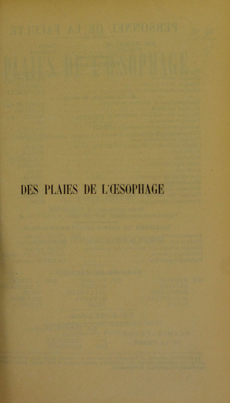 DES PLAIES DE LŒSOPHAGE