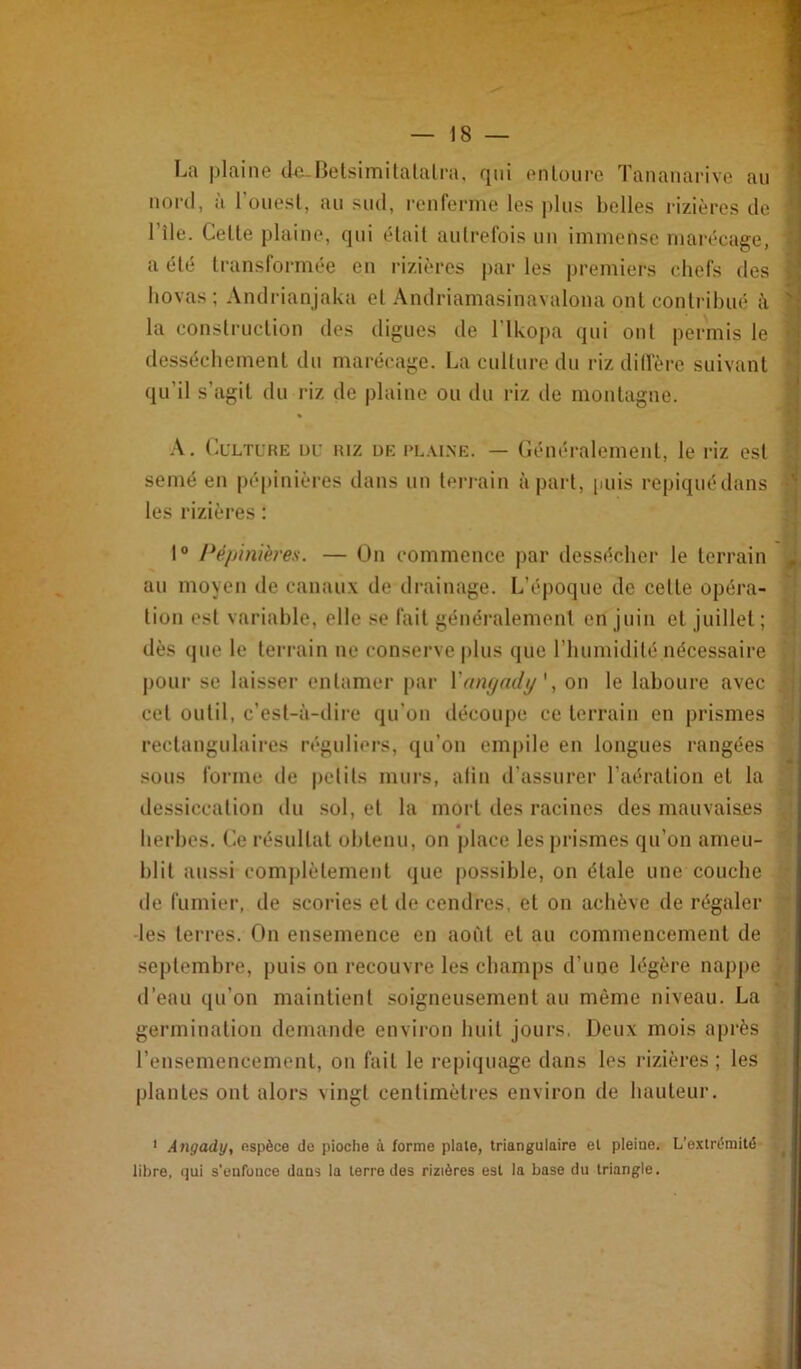 La plaine ilo-Betsimitalalra, qui enloure Tananarive au î iioi'd, a 1 ouest, au sud, reiifernie les |)lus belles rizières de ‘ l’île. Celle plaine, qui était autrefois un immense marécage, ^ a été Iranslormée en i-izières par les |)remiers chefs des i: liovas; Andrianjaka et Andriamasinavalona ont contribué la construction des digues de l’ikopa qui ont permis le ’’ dessécbemenl du marécage. La culture du riz dilfère suivant ‘1 qu’il s’agit du riz de plaine ou ilu riz de montagne. \. Culture du riz de rl.u.ne. — Généralement, le riz est ! semé en pépinières dans un teriain à part, puis repiquédans •’j les rizières : , ' I® Pé/jinières. — On commence par dessécher le terrain au moyeu de canaux de drainage. L’époque de celte opéra- tion est variable, elle se fait généralement en juin et juillet ; dès que le terrain ne conserve |)lus que riiumidilé nécessaire pour se laisser entamer par Yanyndy', on le laboure avec cet outil, c’est-à-dire qu’oii tlécoupe ce terrain en prismes rectangulaii’es réguliers, qu’on empile en longues rangées sous forme de petits murs, atin d'assurer l’aération et la dessiccation du sol, et la mort des racines des mauvaises Û herbes. Ce résultat obtenu, on place les prismes qu’on ameu- blit aussi com])lètement que possible, on étale une couche de fumier, de scories et de cendres, et on achève de régaler -les teiT’es. On ensemence en août et au commencement de septembre, puis on recouvre les champs d’une légère nappe d’eau qu’on maintient soigneusement au même niveau. La germination demande envii-on huit jours, Deux mois après l’ensemencement, on fait le repiquage dans les rizières ; les plantes ont alors vingt centimètres environ de hauteur. ■i I V* ' Angady, espèce do pioche à forme piale, triangulaire et pleine. L’exlrèraitô libre, qui s’enfonce dans la terre des rizières est la base du triangle.